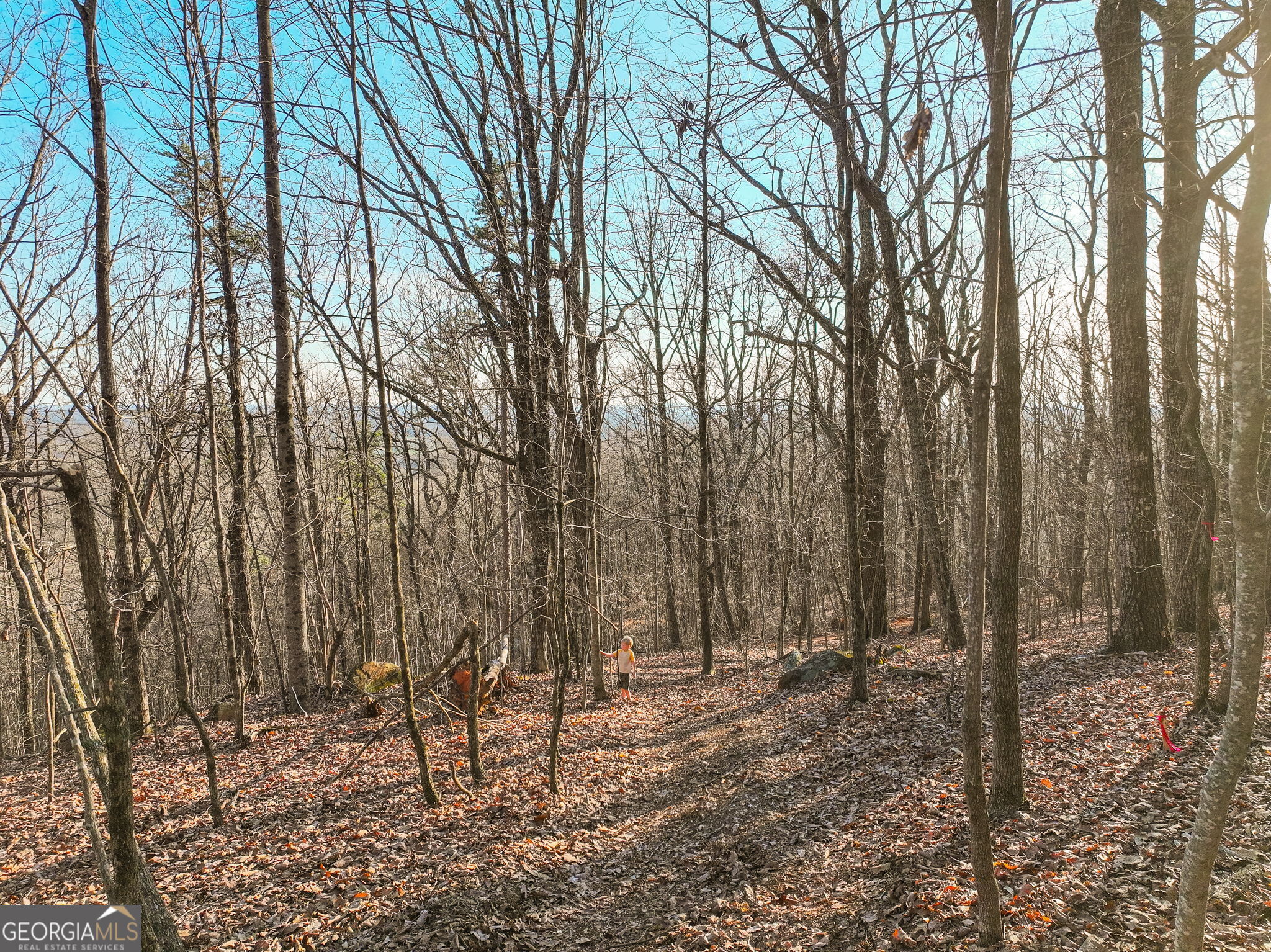 Lot 10 Mount Mincie Road Murrayville GA 30564