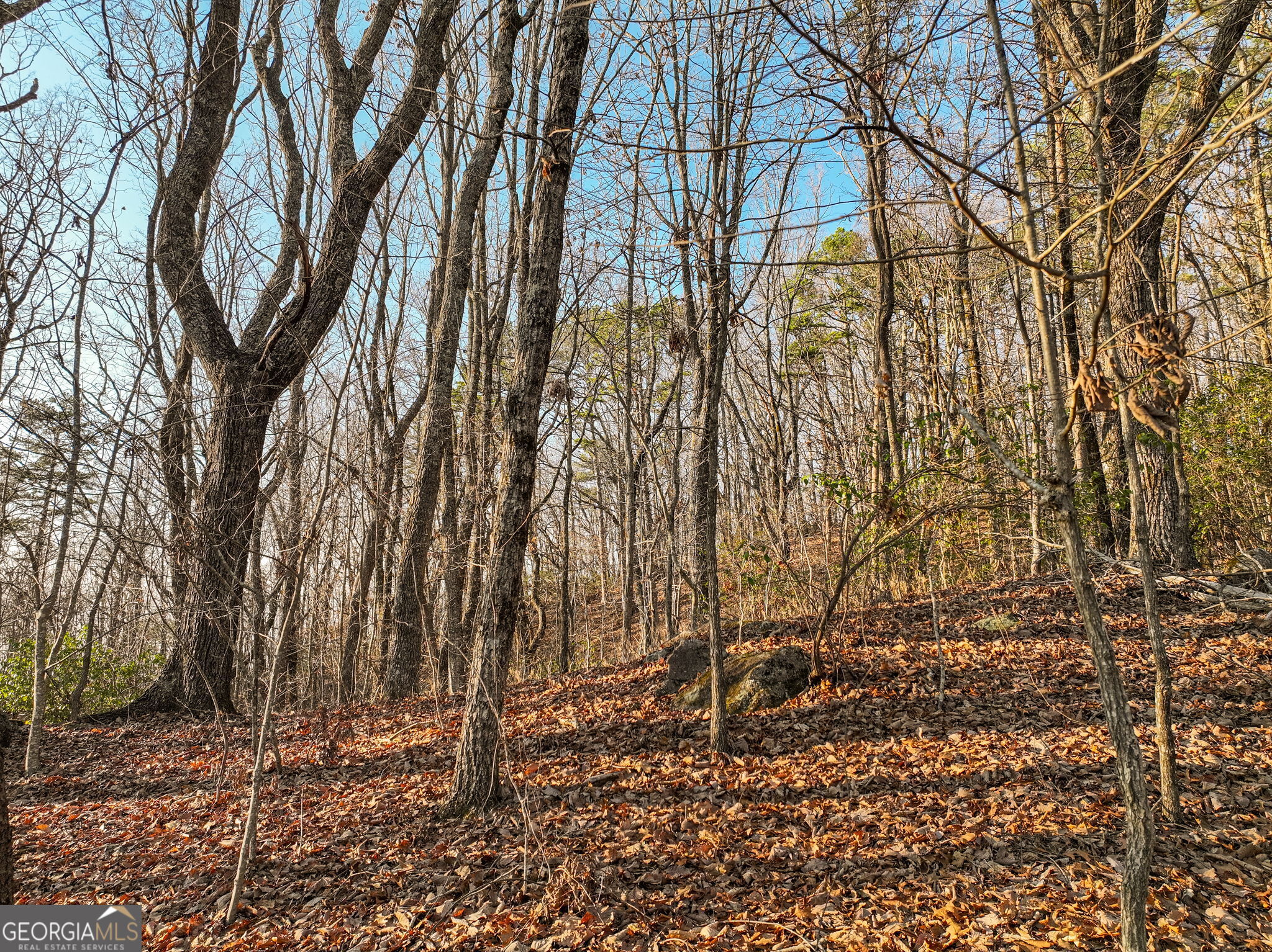 Lot 10 Mount Mincie Road Murrayville GA 30564
