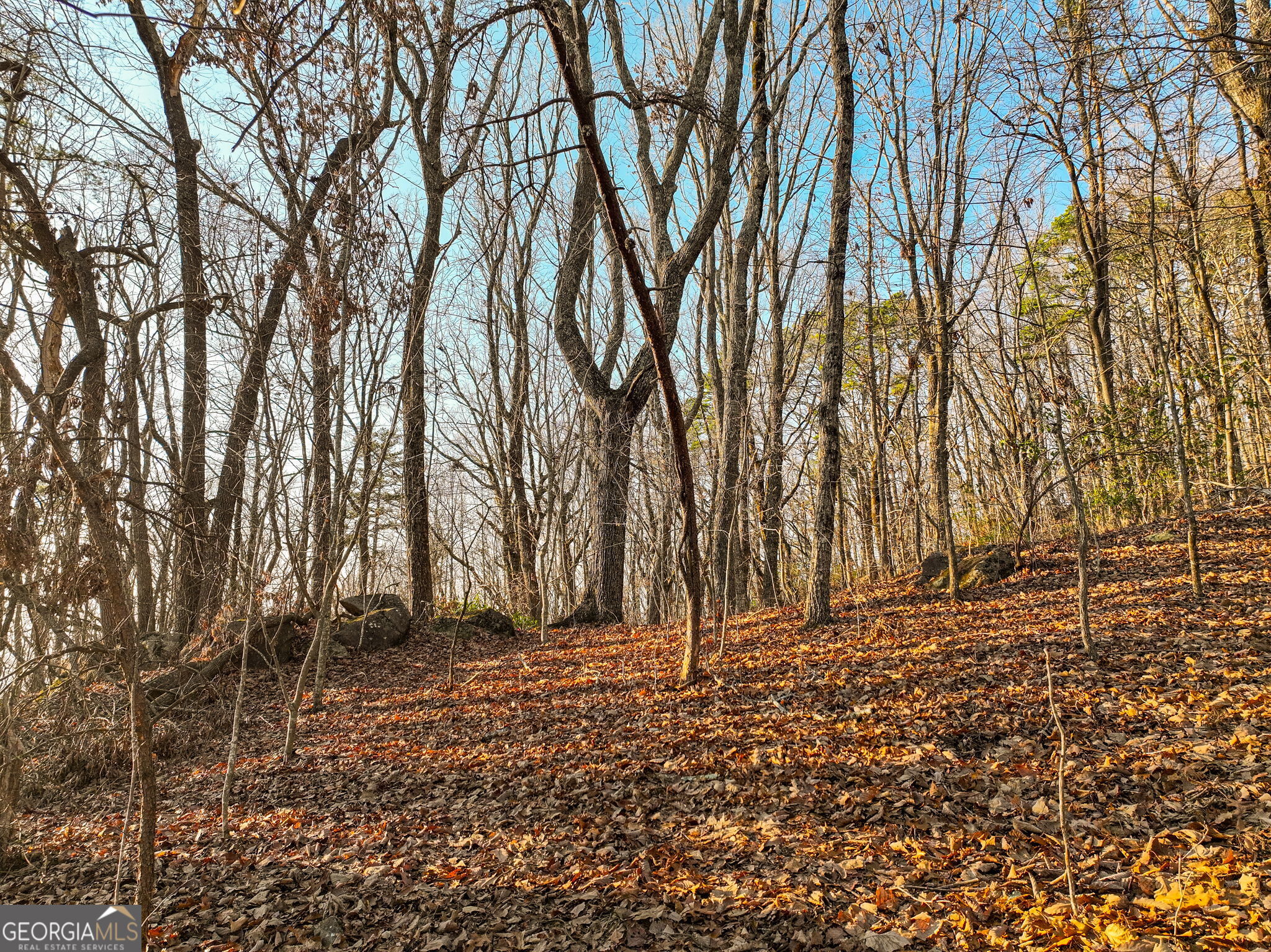 Lot 10 Mount Mincie Road Murrayville GA 30564