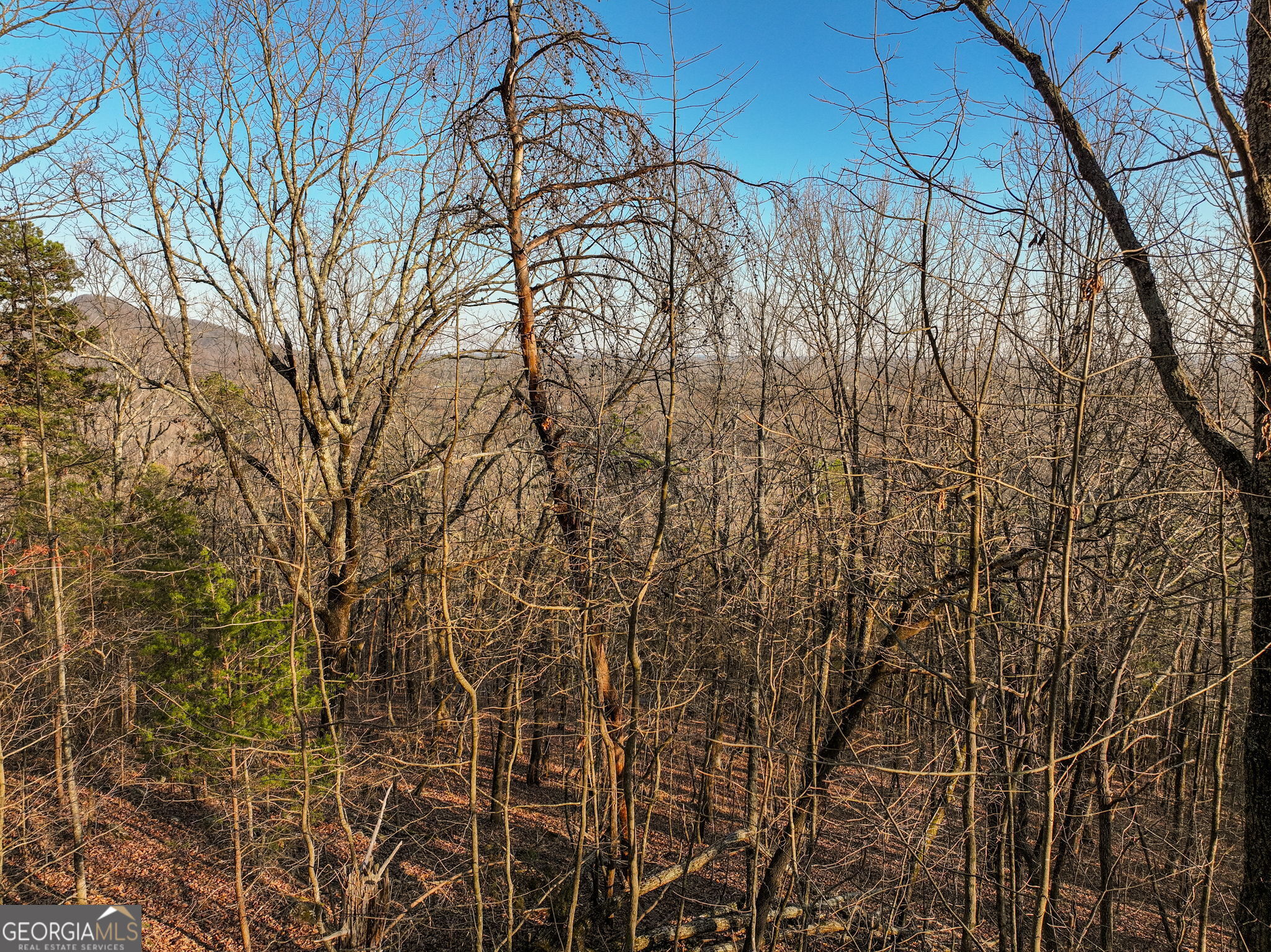 Lot 10 Mount Mincie Road Murrayville GA 30564