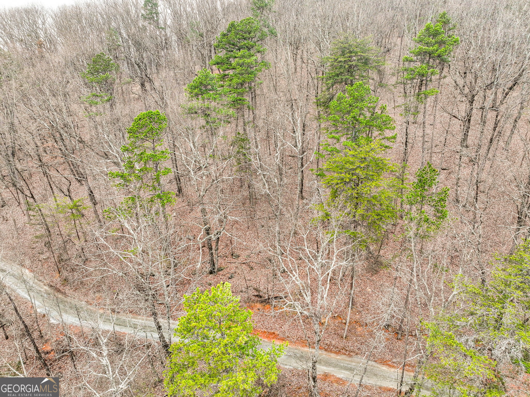 Lot 10 Mount Mincie Road Murrayville GA 30564