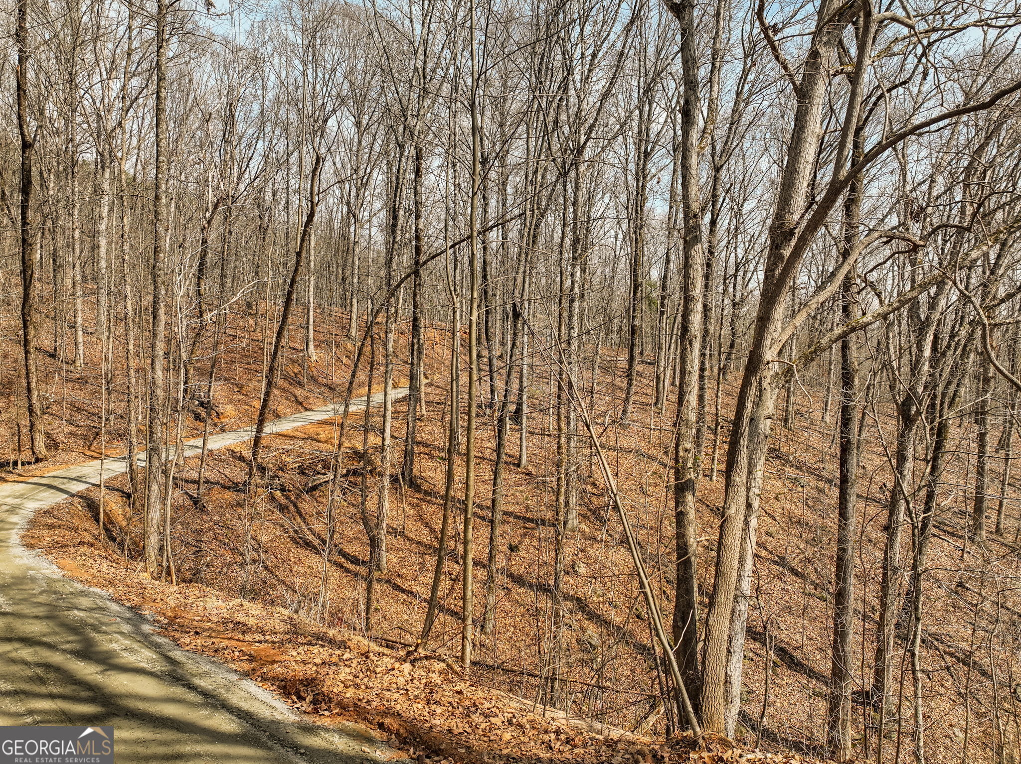 Lot 10 Mount Mincie Road Murrayville GA 30564