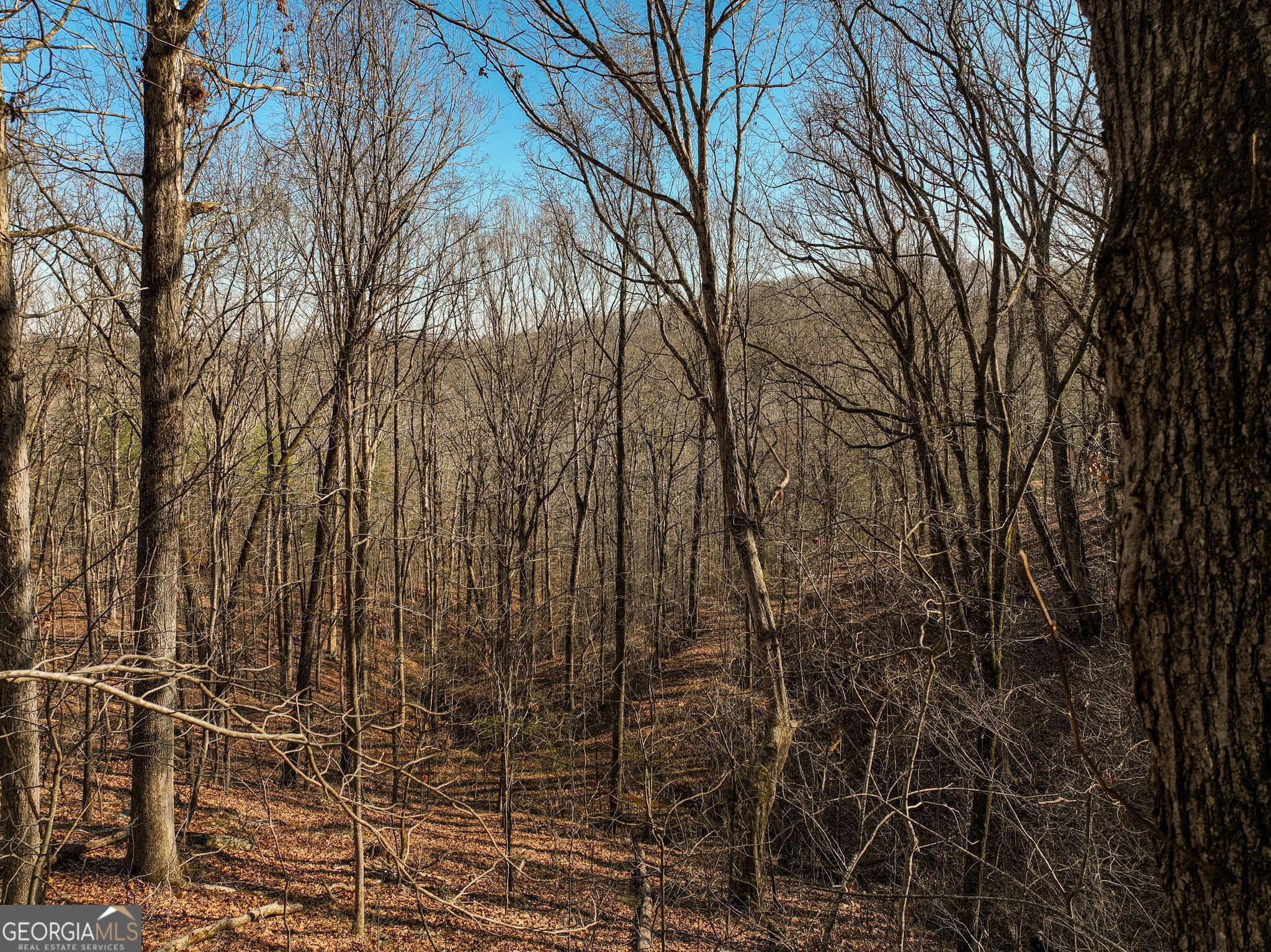Lot 10 Mount Mincie Road Murrayville GA 30564