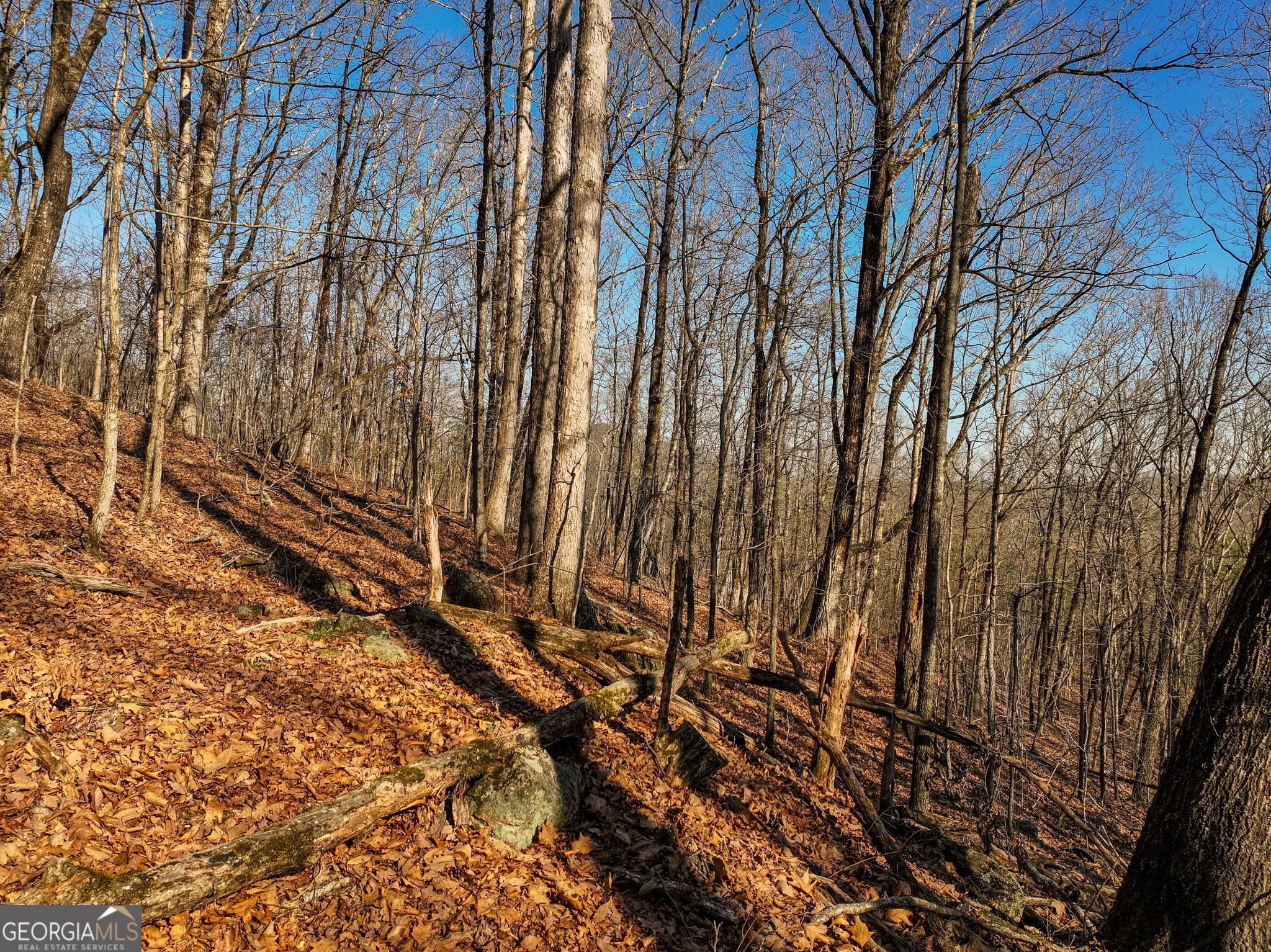 Lot 10 Mount Mincie Road Murrayville GA 30564