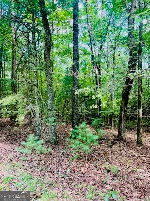 Lot 42 Squirrel Hunting Road Ellijay GA 30540
