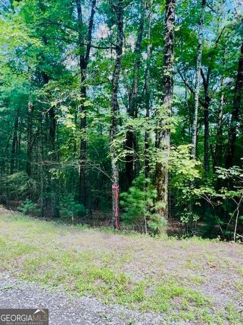 Lot 42 Squirrel Hunting Road Ellijay GA 30540