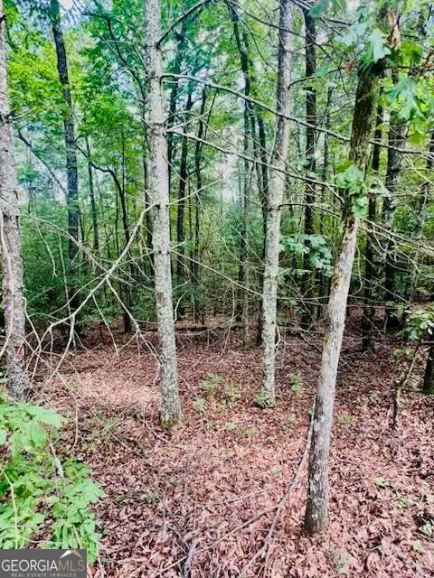 Lot 42 Squirrel Hunting Road Ellijay GA 30540