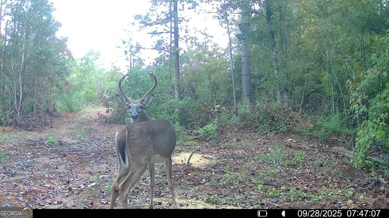 15 Turning Point Way Elberton GA 30635