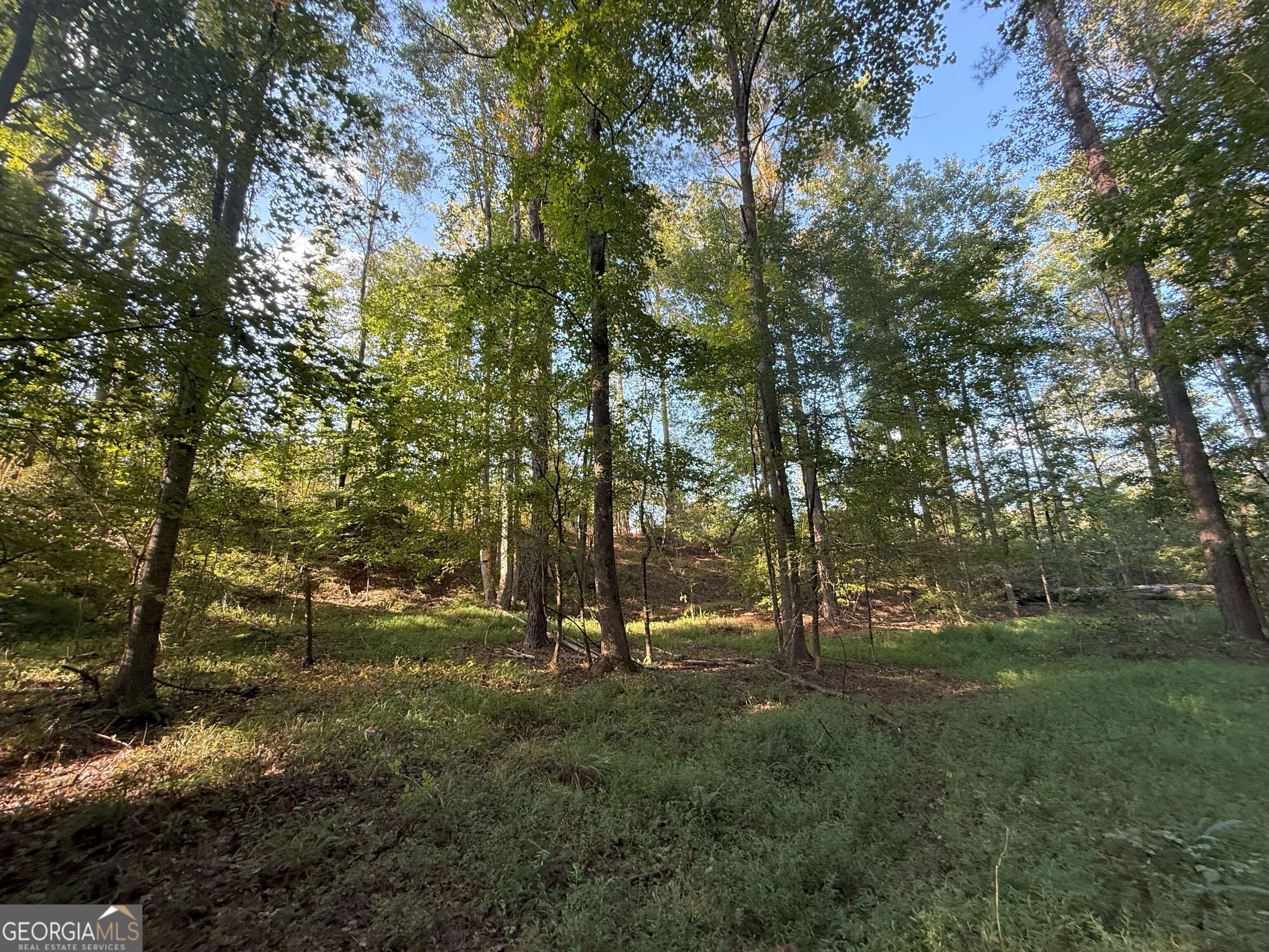 15 Turning Point Way Elberton GA 30635
