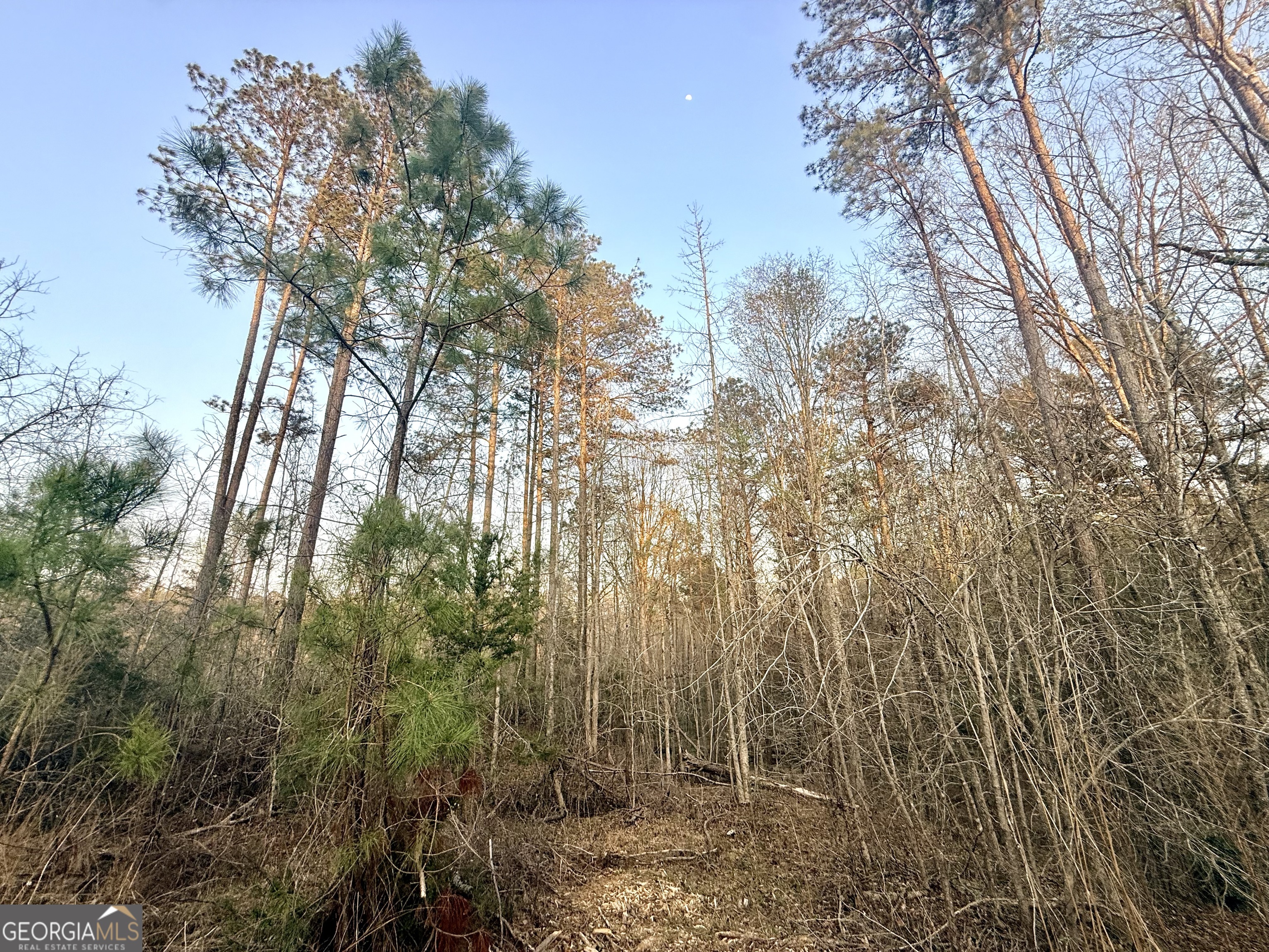15 Turning Point Way Elberton GA 30635