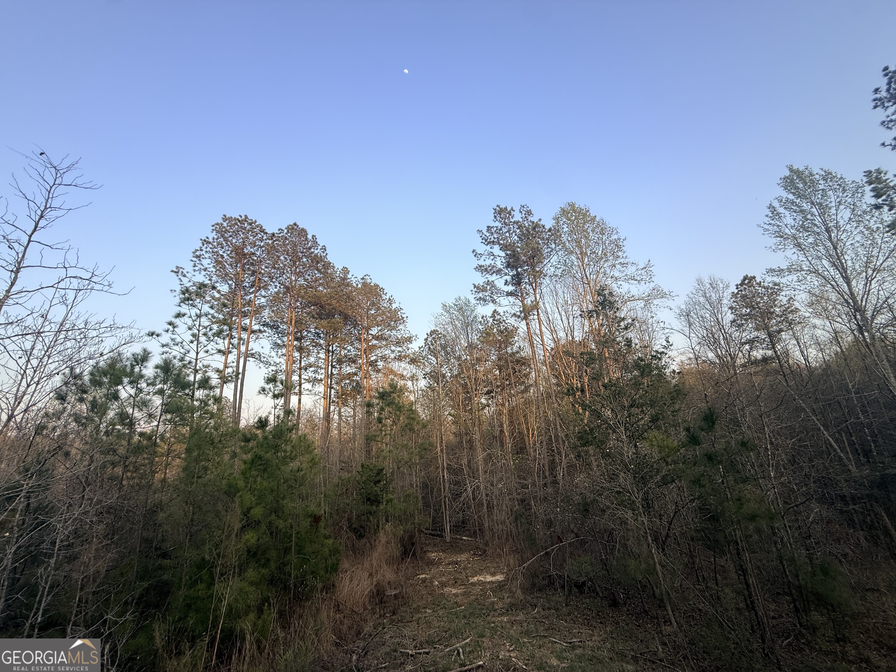 15 Turning Point Way Elberton GA 30635