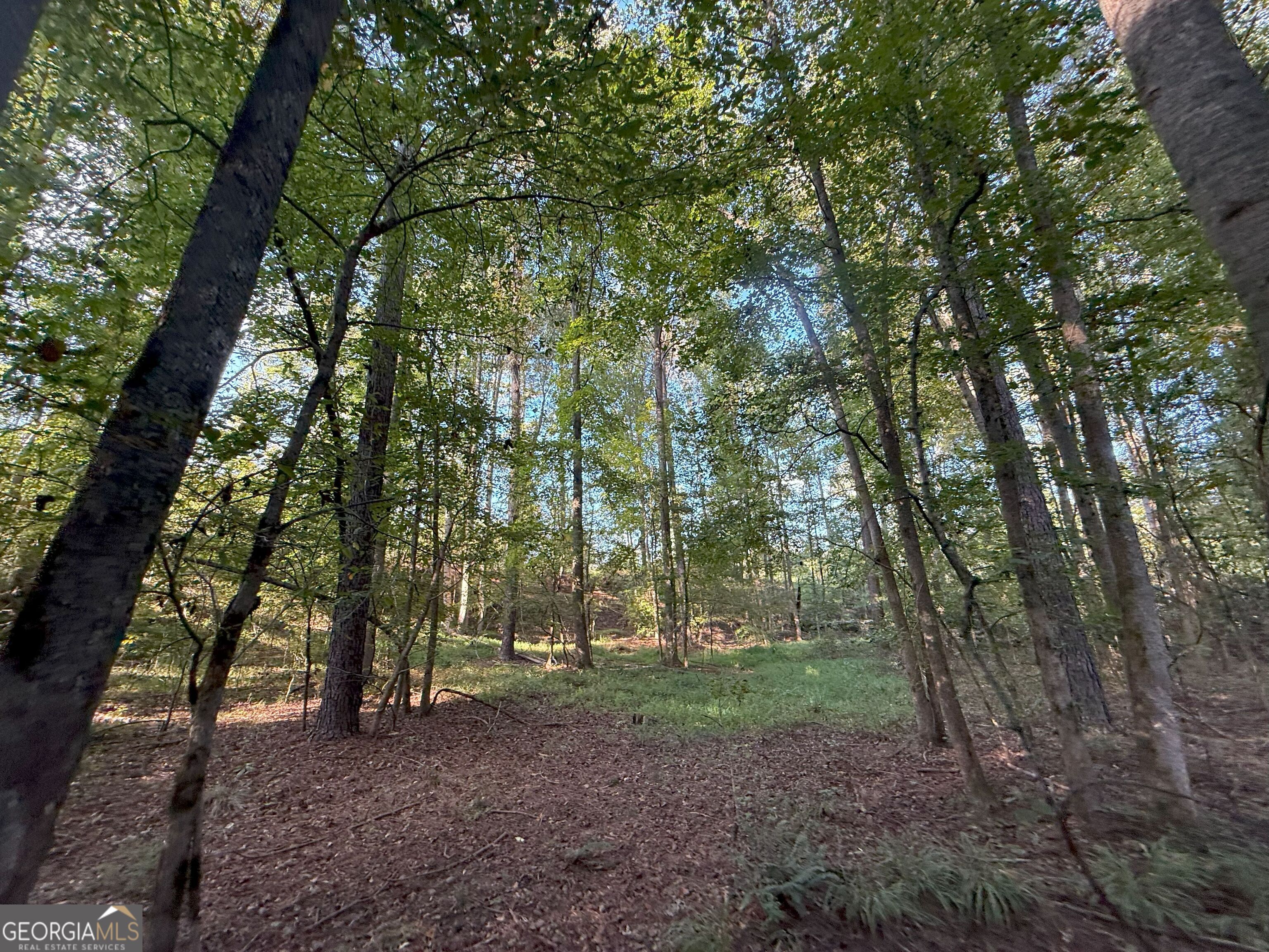 15 Turning Point Way Elberton GA 30635