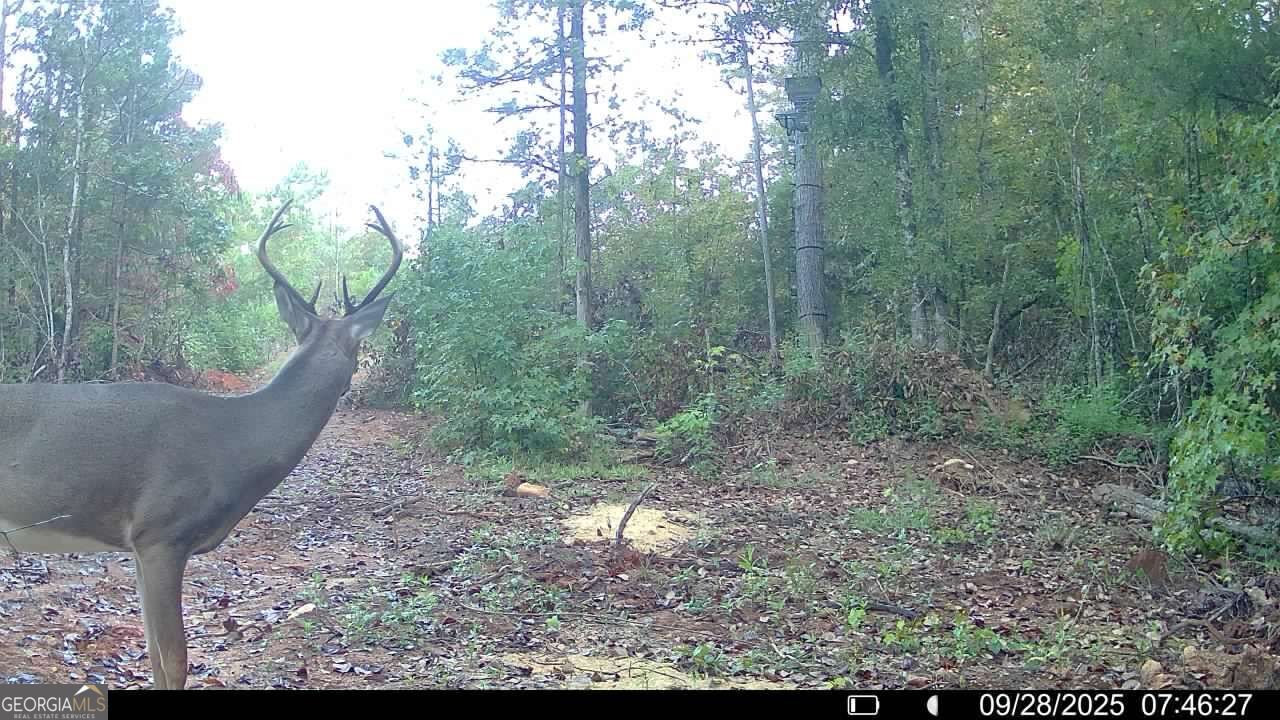 15 Turning Point Way Elberton GA 30635