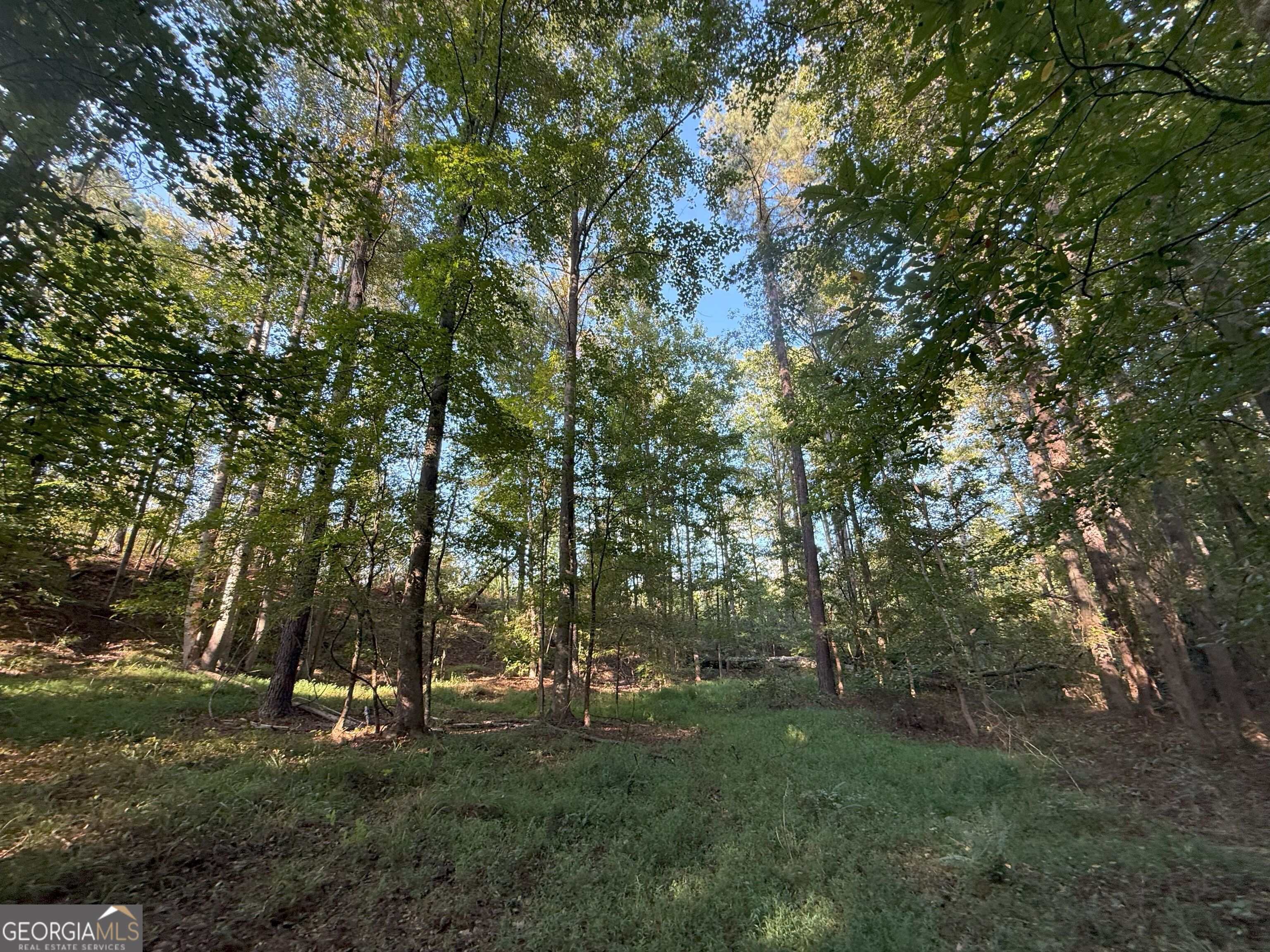 15 Turning Point Way Elberton GA 30635