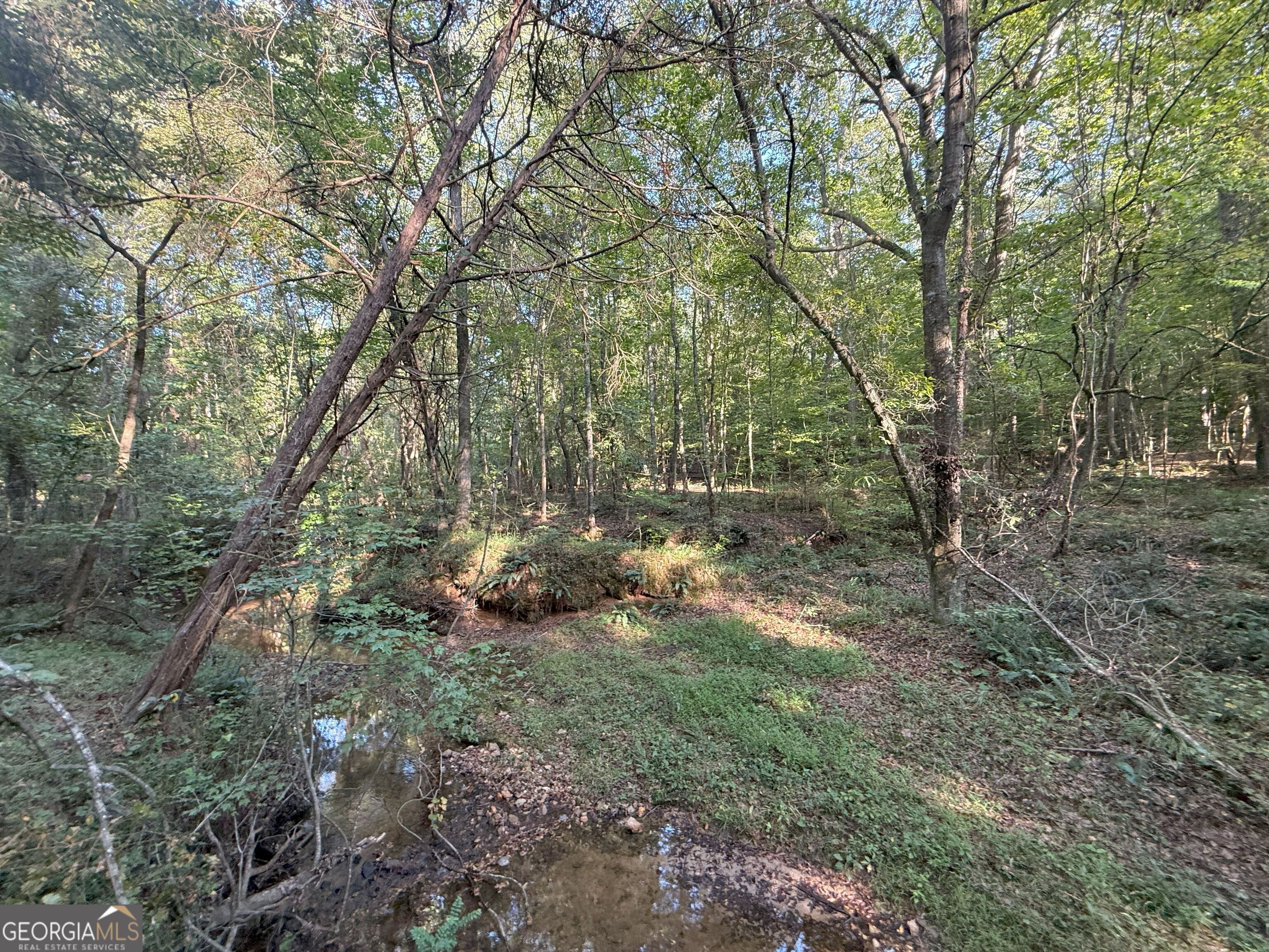 15 Turning Point Way Elberton GA 30635