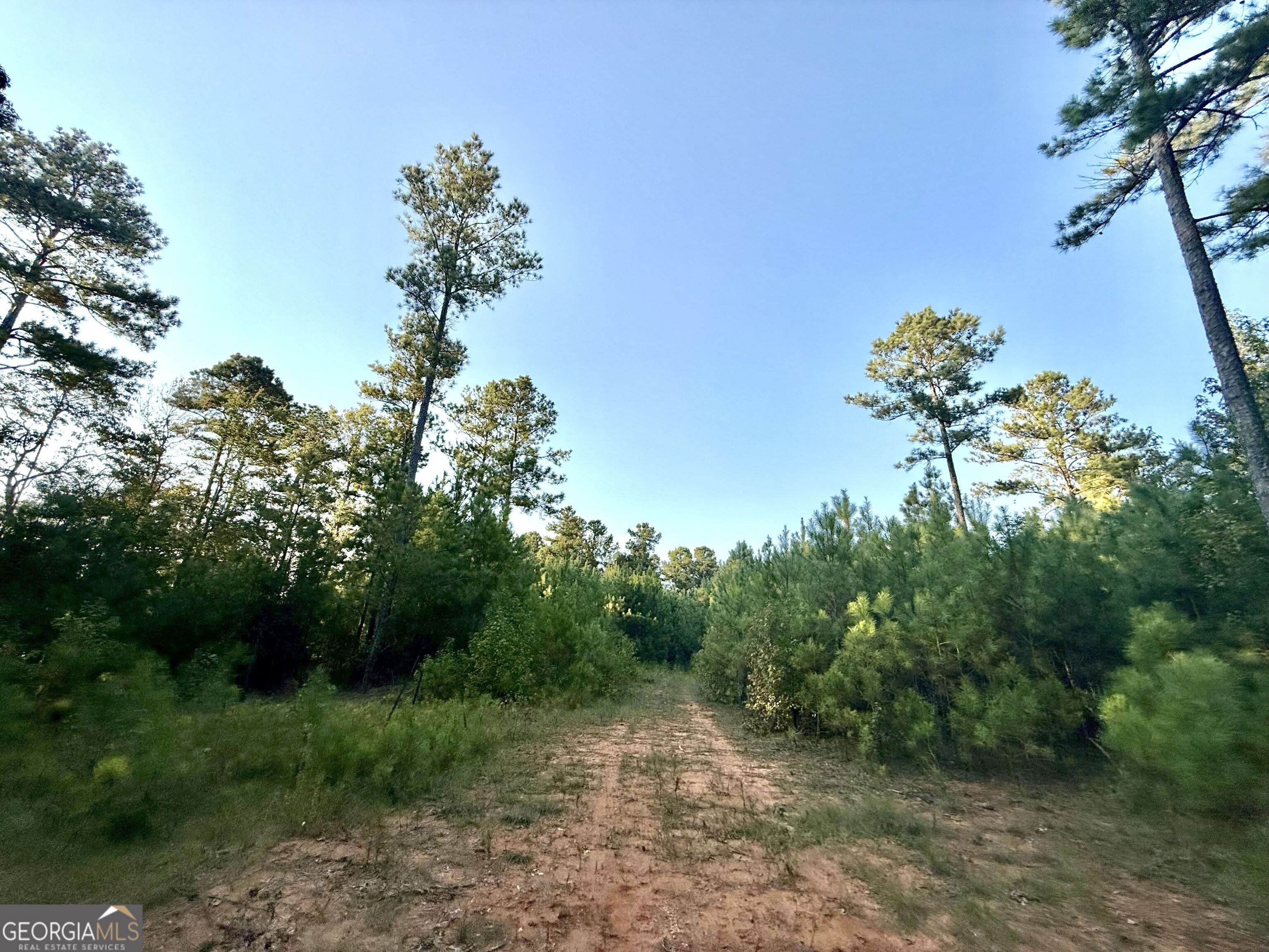 15 Turning Point Way Elberton GA 30635