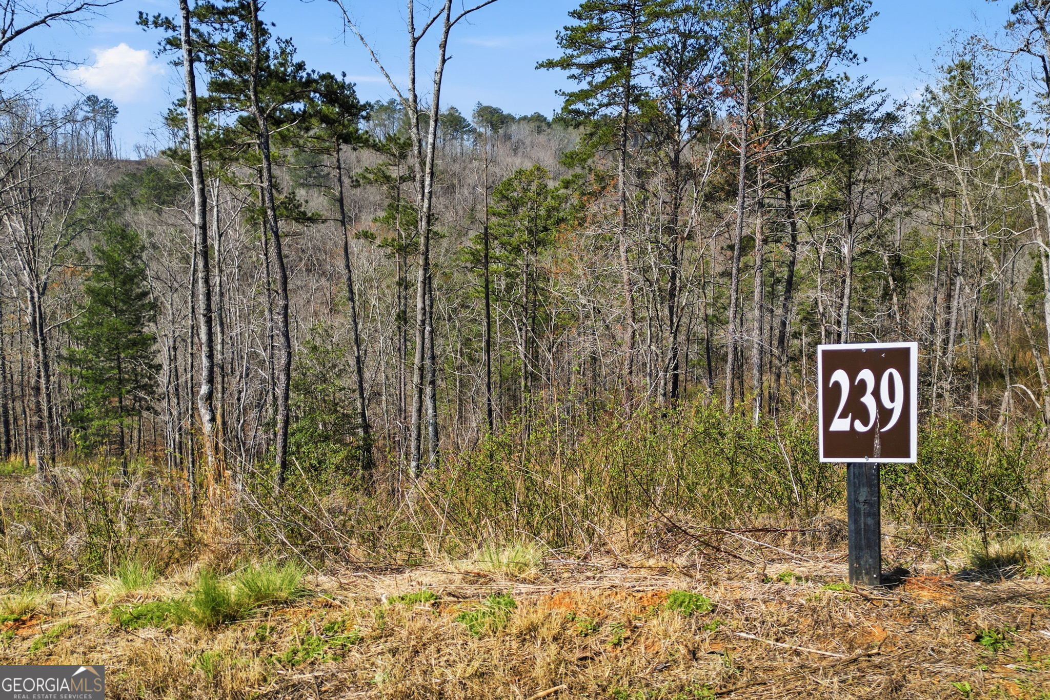 Lot 239 Spear Point Drive Talking Rock GA 30175