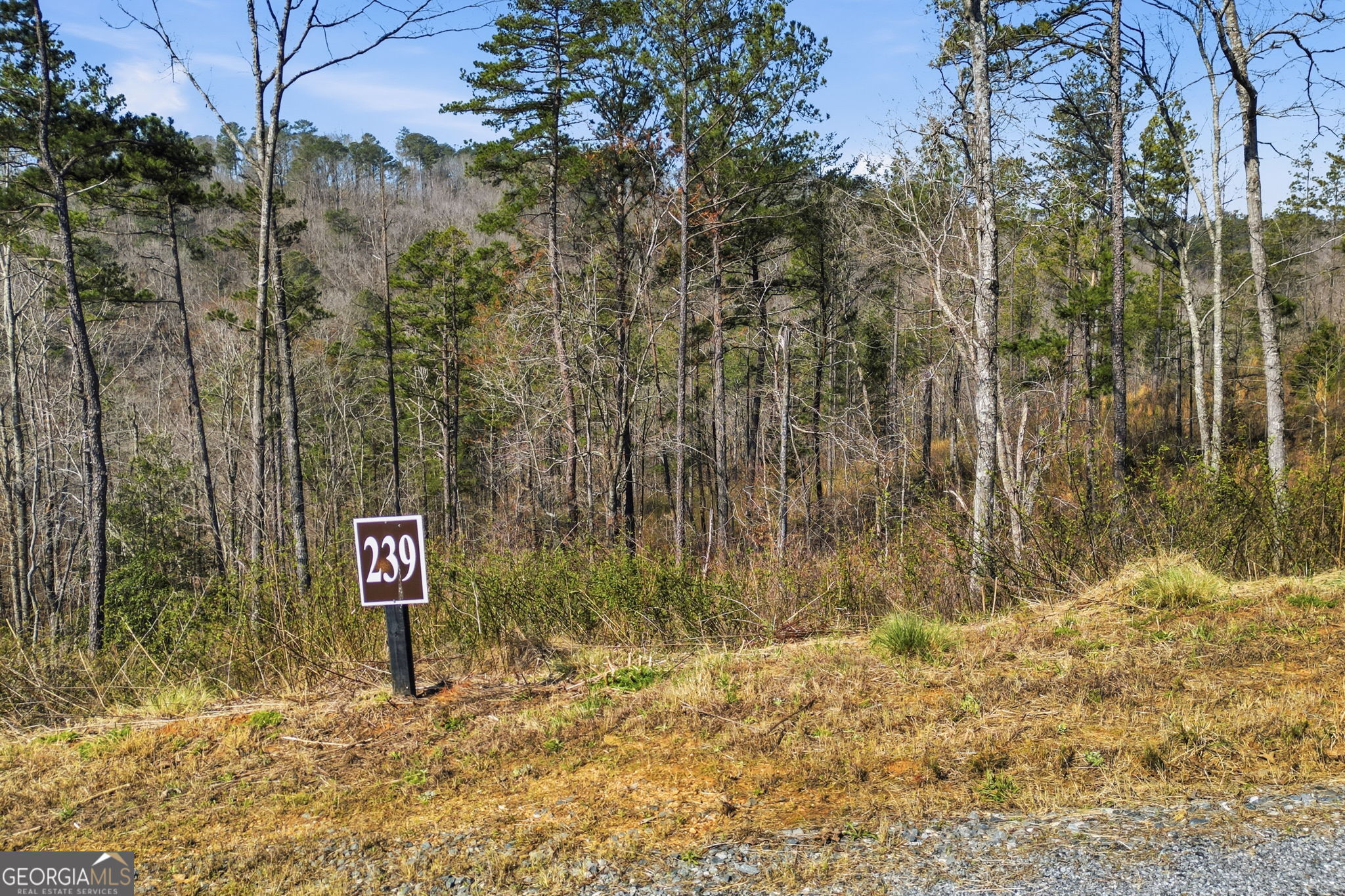 Lot 239 Spear Point Drive Talking Rock GA 30175