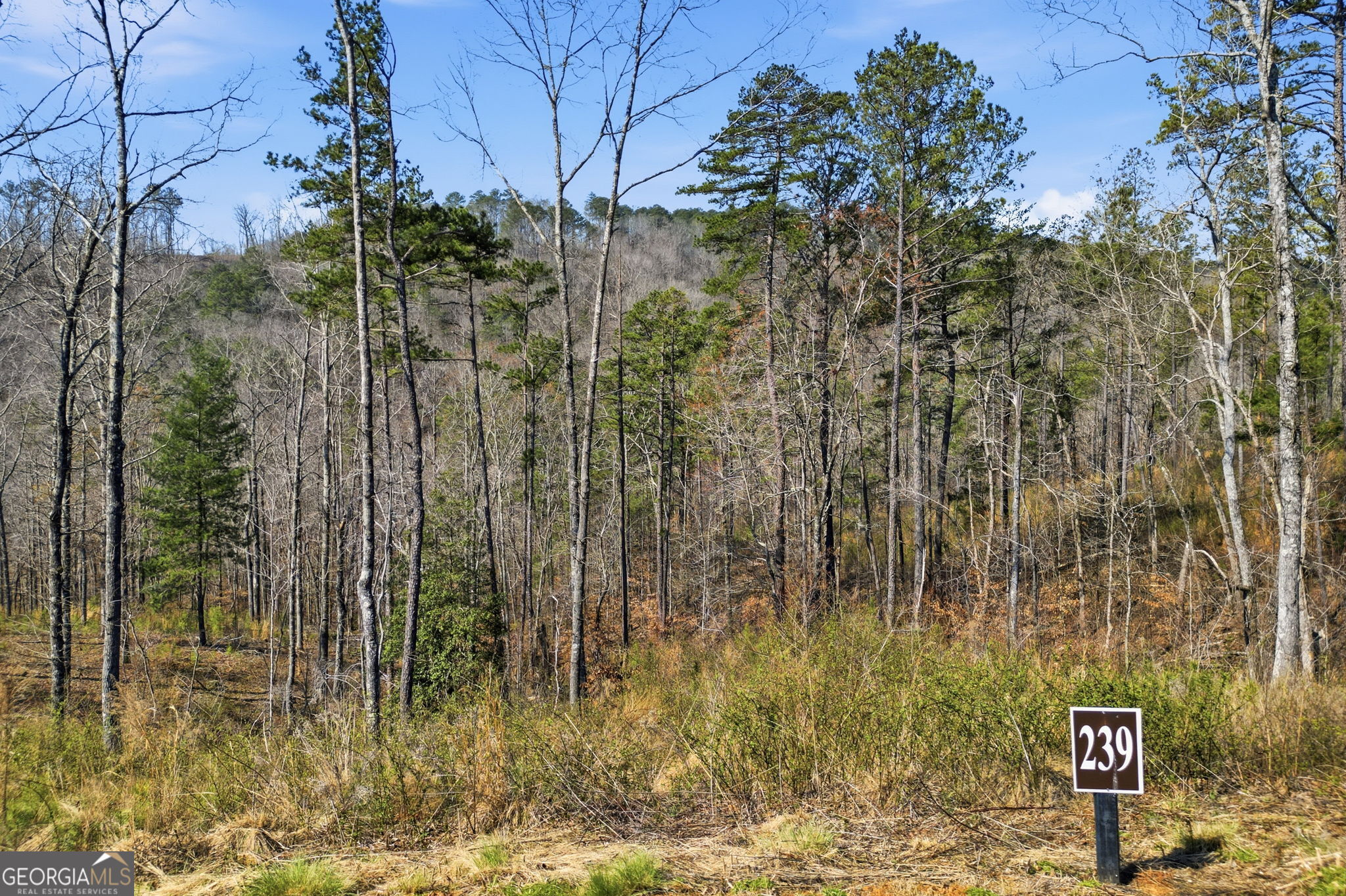 Lot 239 Spear Point Drive Talking Rock GA 30175