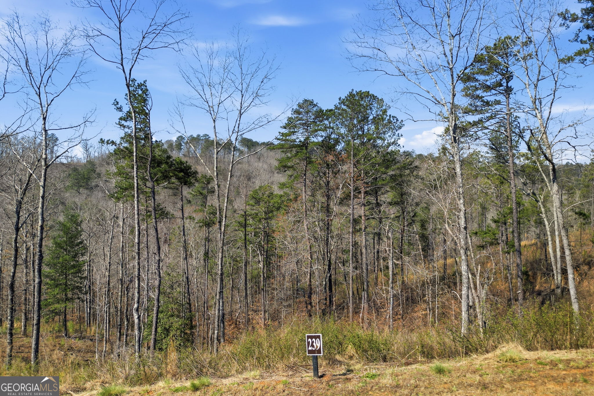 Lot 239 Spear Point Drive Talking Rock GA 30175