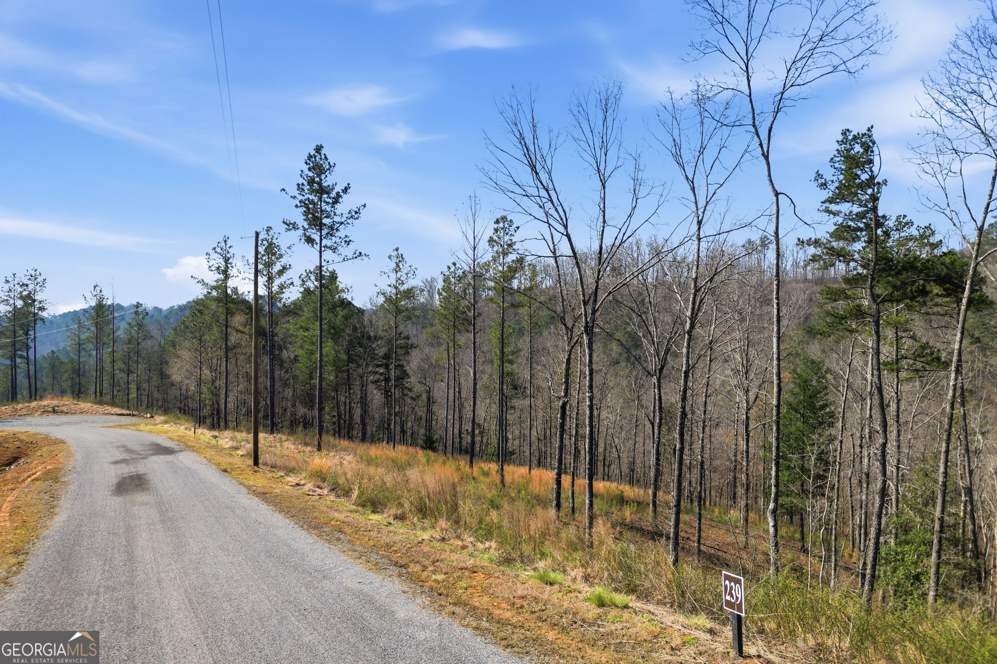 Lot 239 Spear Point Drive Talking Rock GA 30175