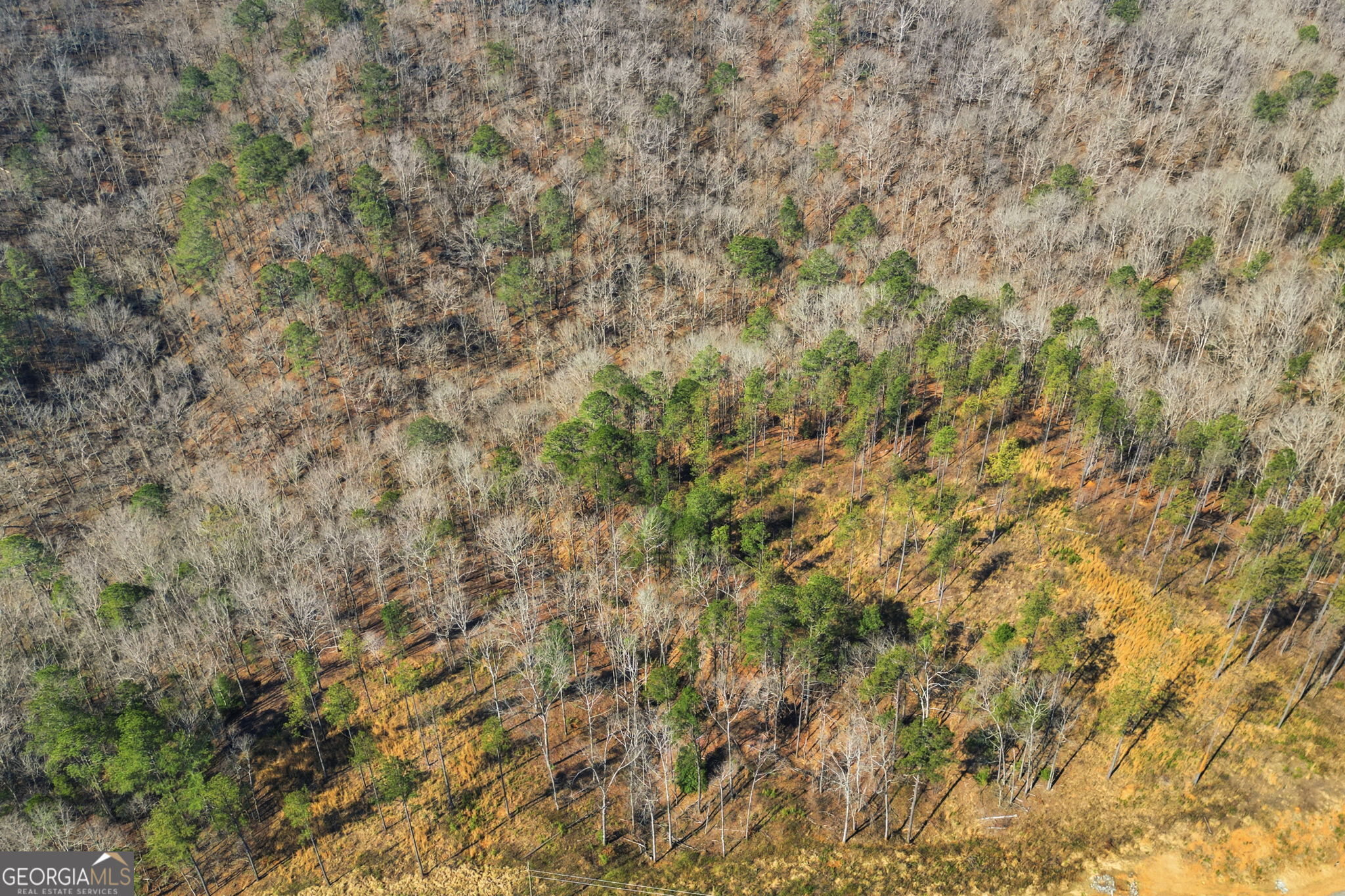 Lot 239 Spear Point Drive Talking Rock GA 30175