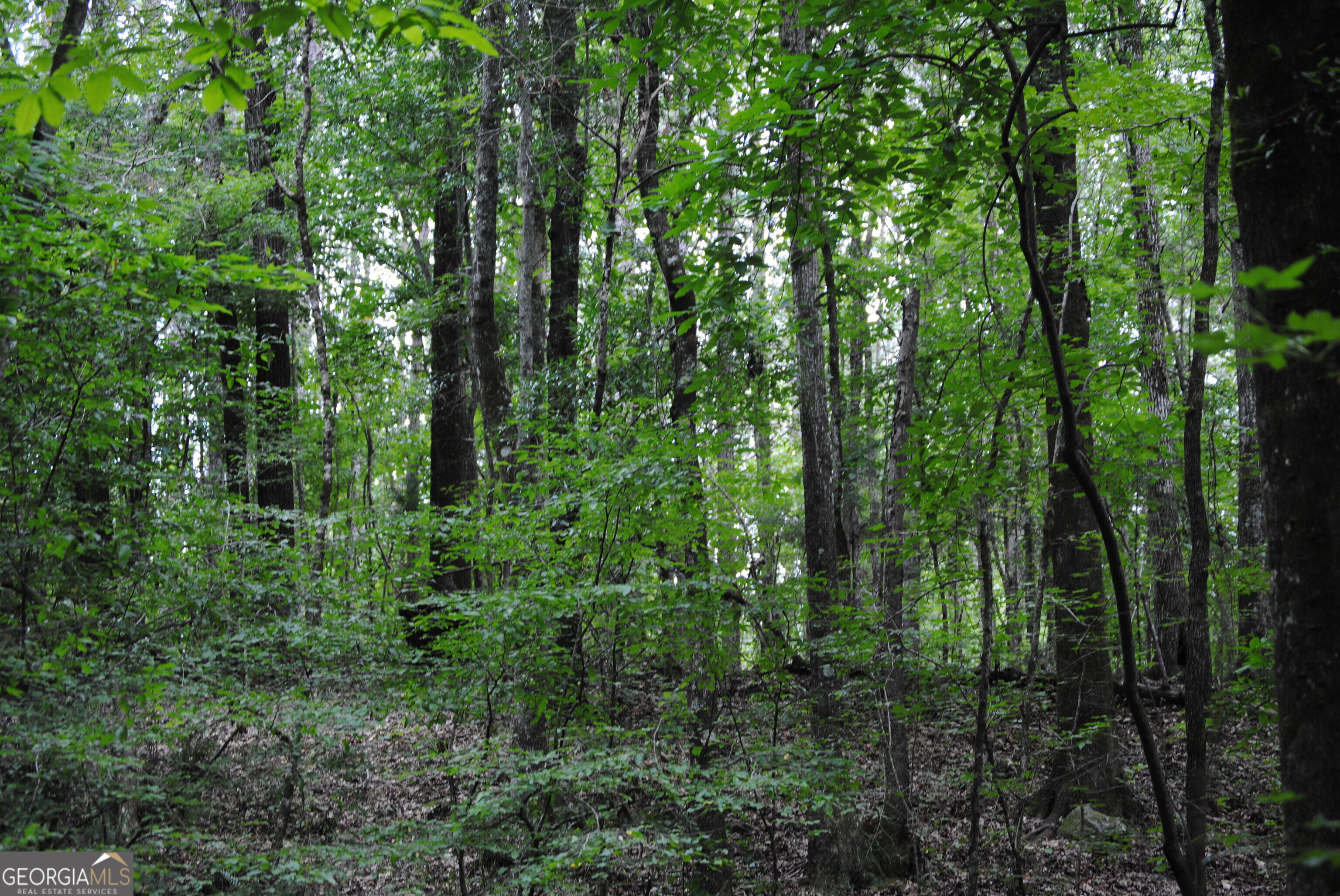 4509 Sr 18 Highway West Point GA 31833