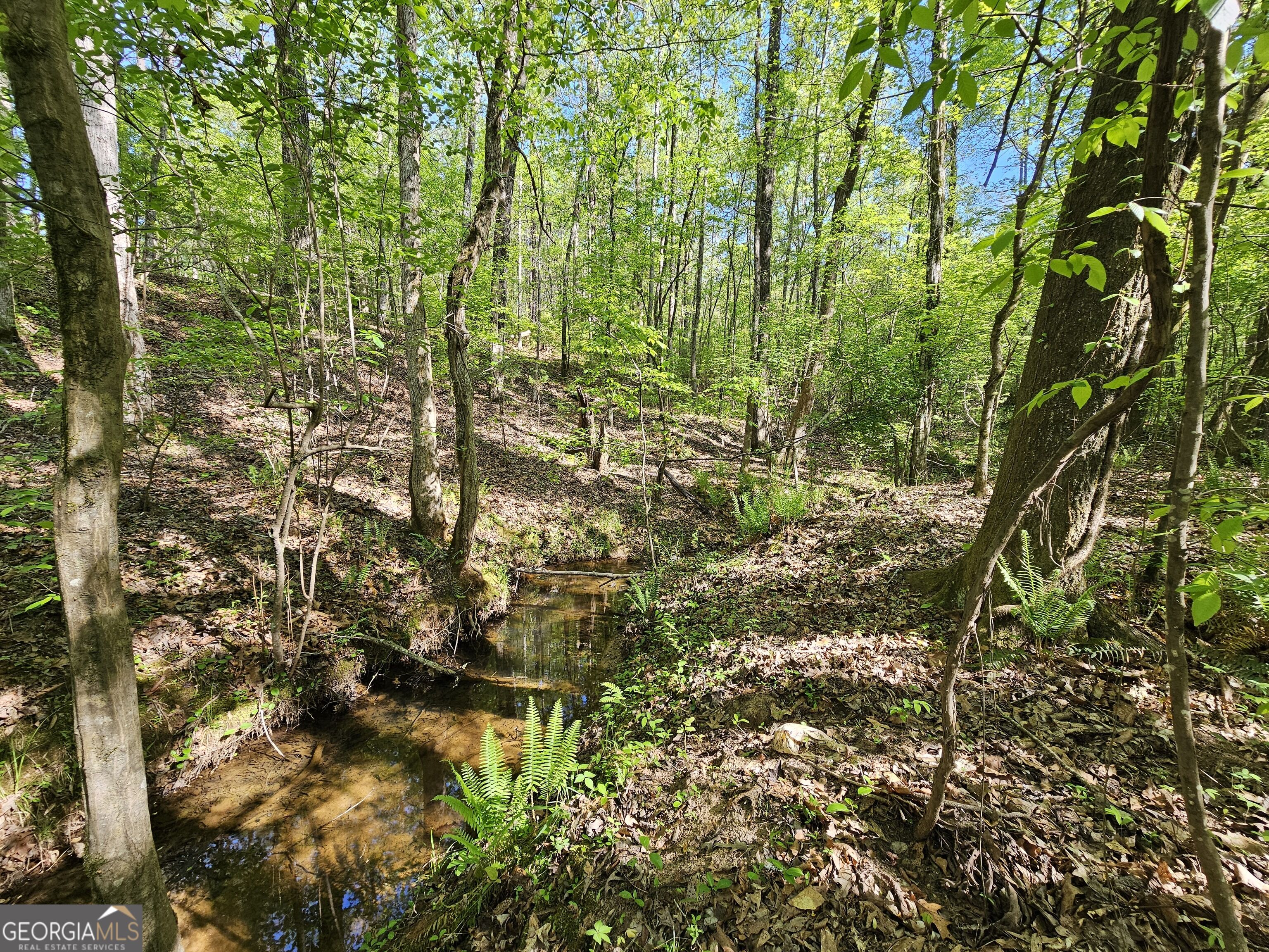 4509 Sr 18 Highway West Point GA 31833