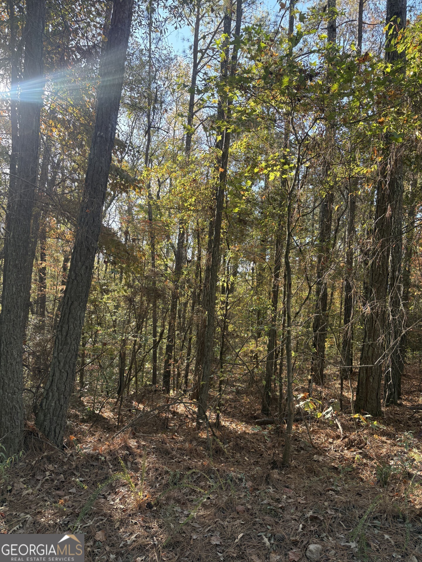 8839 Watkins Mill Road Winston GA 30187