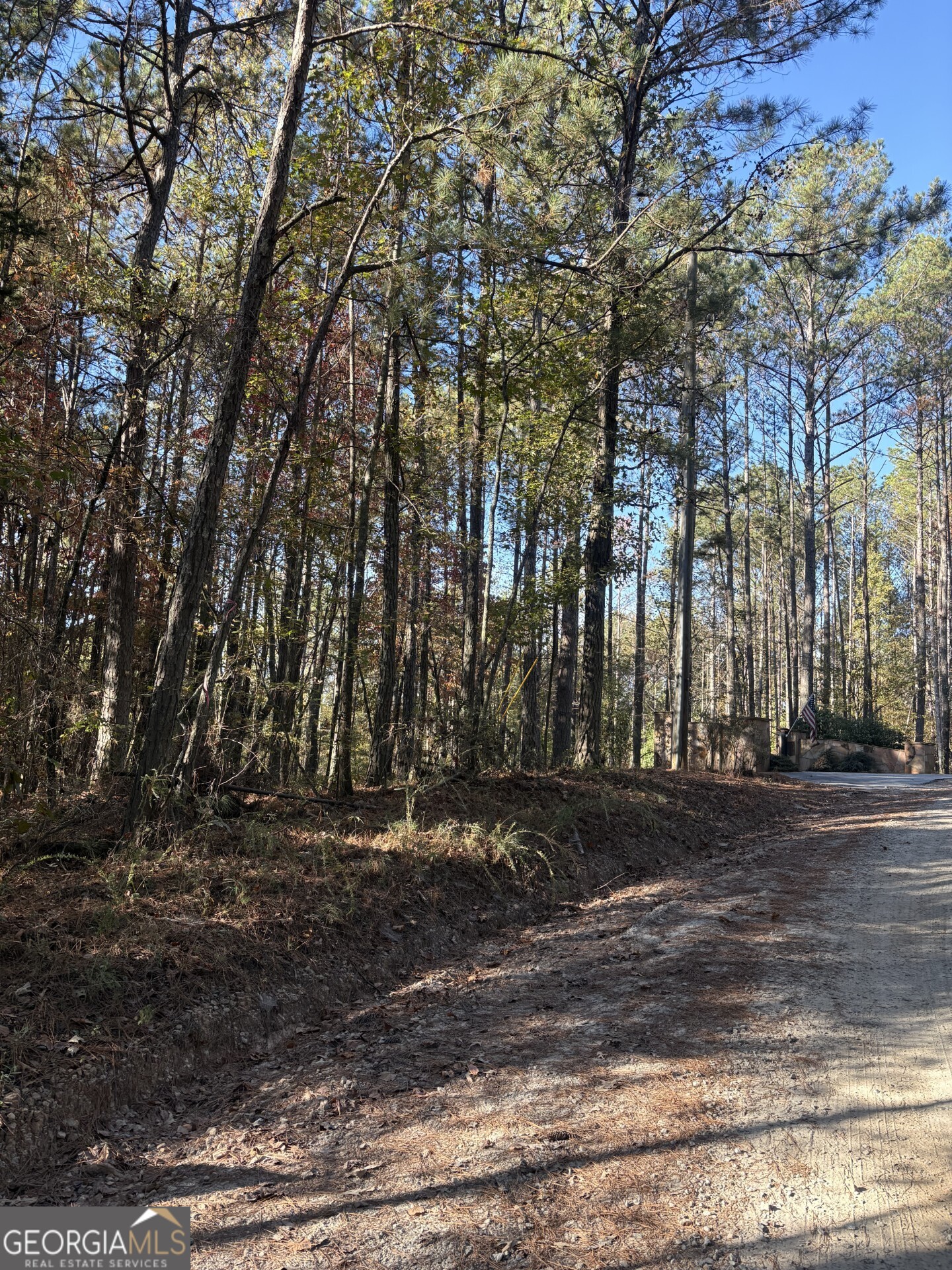 8839 Watkins Mill Road Winston GA 30187