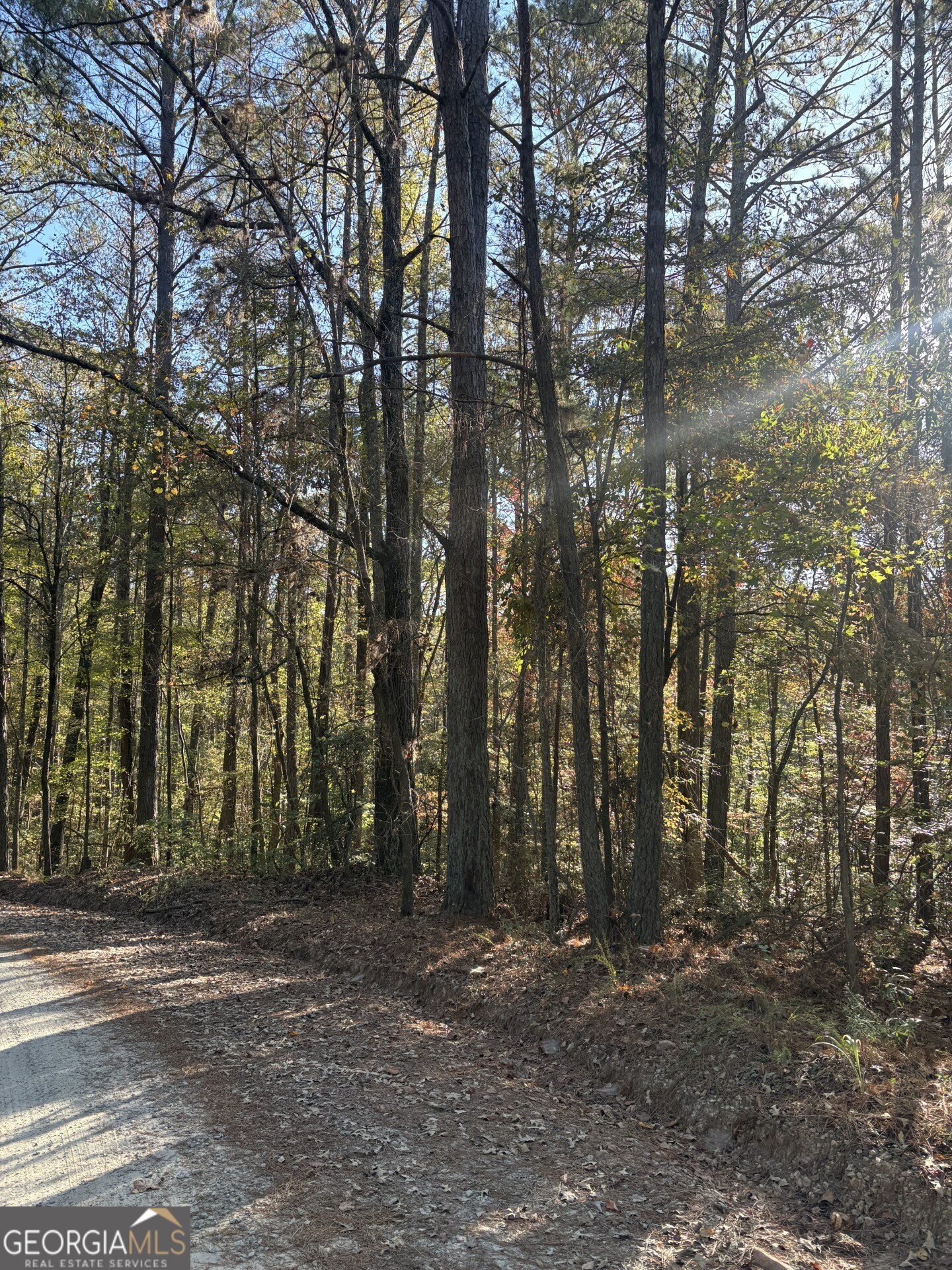 8839 Watkins Mill Road Winston GA 30187