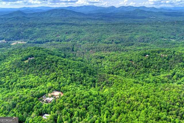 28.4 Ac Black Dog Trail Blue Ridge GA 30513