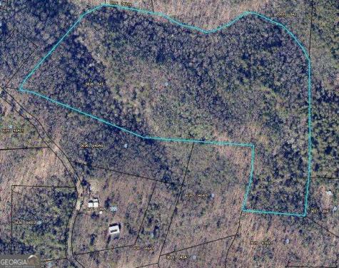 28.4 Ac Black Dog Trail Blue Ridge GA 30513