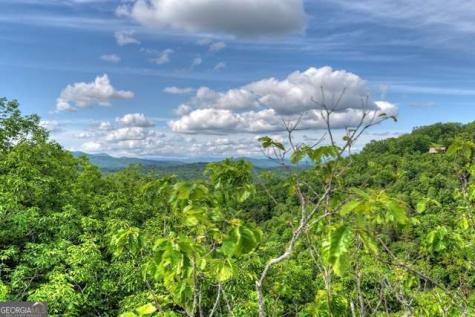 28.4 Ac Black Dog Trail Blue Ridge GA 30513