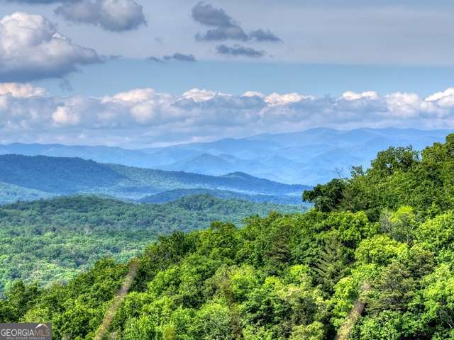 28.4 Ac Black Dog Trail Blue Ridge GA 30513