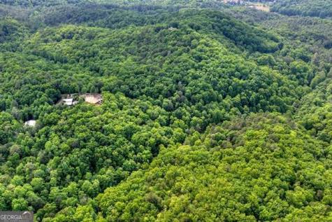 28.4 Ac Black Dog Trail Blue Ridge GA 30513