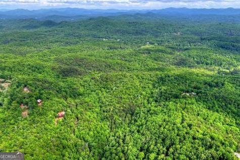28.4 Ac Black Dog Trail Blue Ridge GA 30513