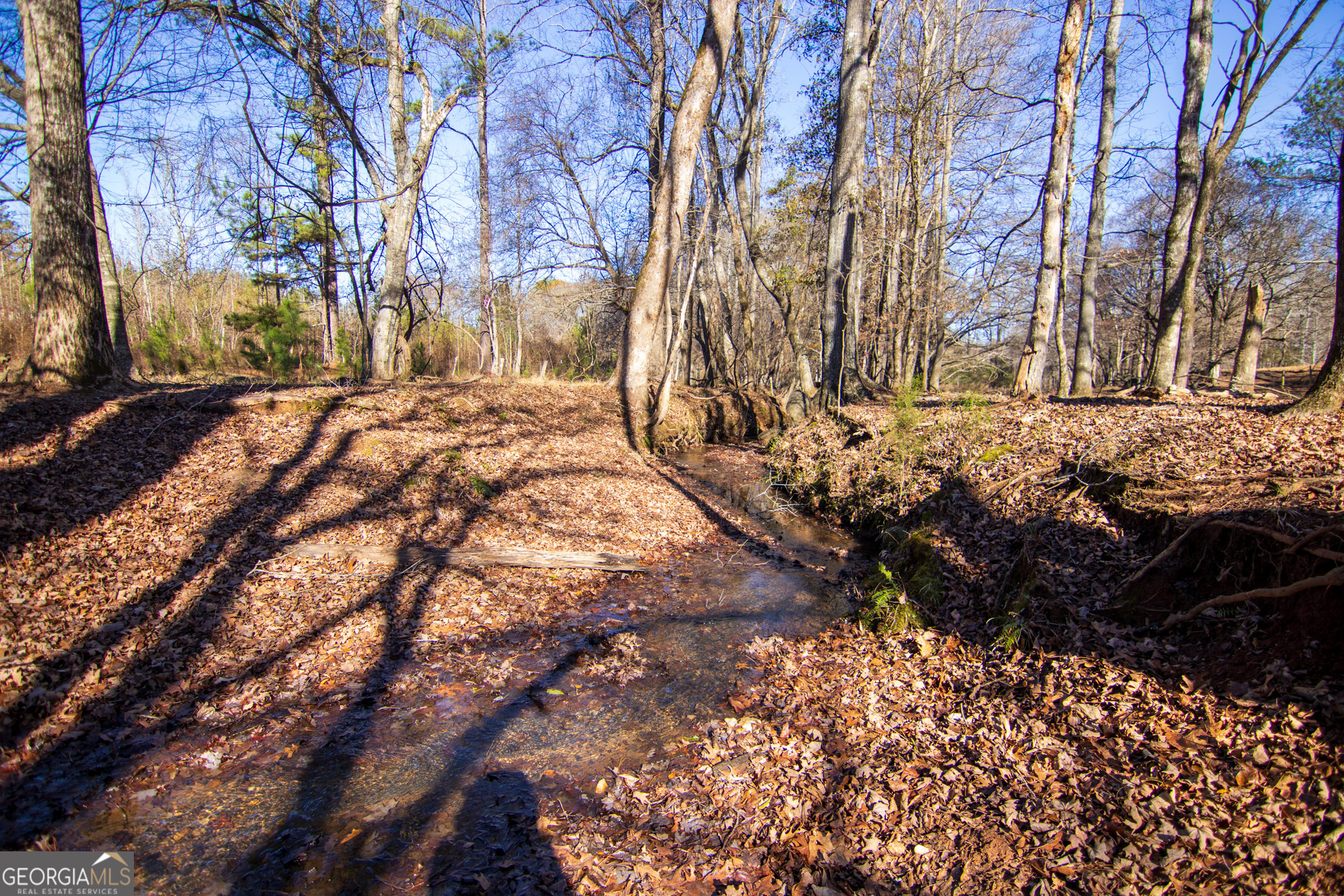 Tract 2 - 0 St. Paul Church Road Shiloh GA 31826