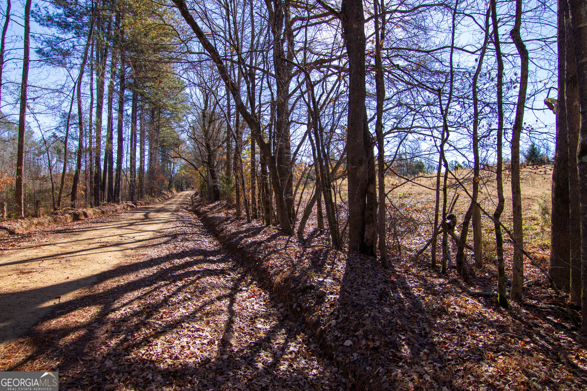 Tract 2 - 0 St. Paul Church Road Shiloh GA 31826