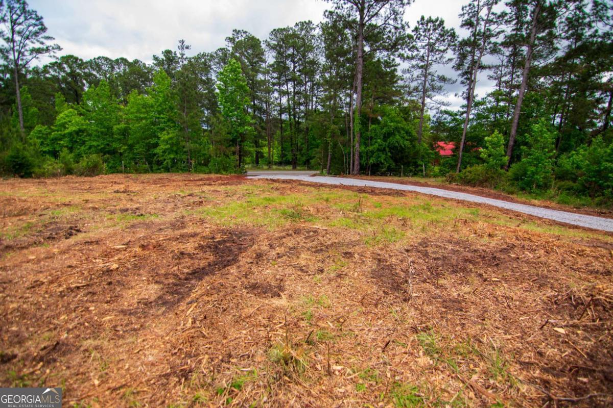Tract 2 - 0 St. Paul Church Road Shiloh GA 31826