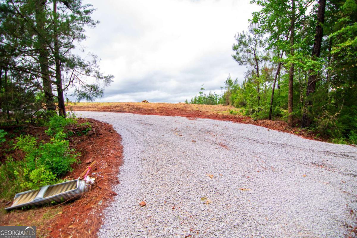 Tract 2 - 0 St. Paul Church Road Shiloh GA 31826