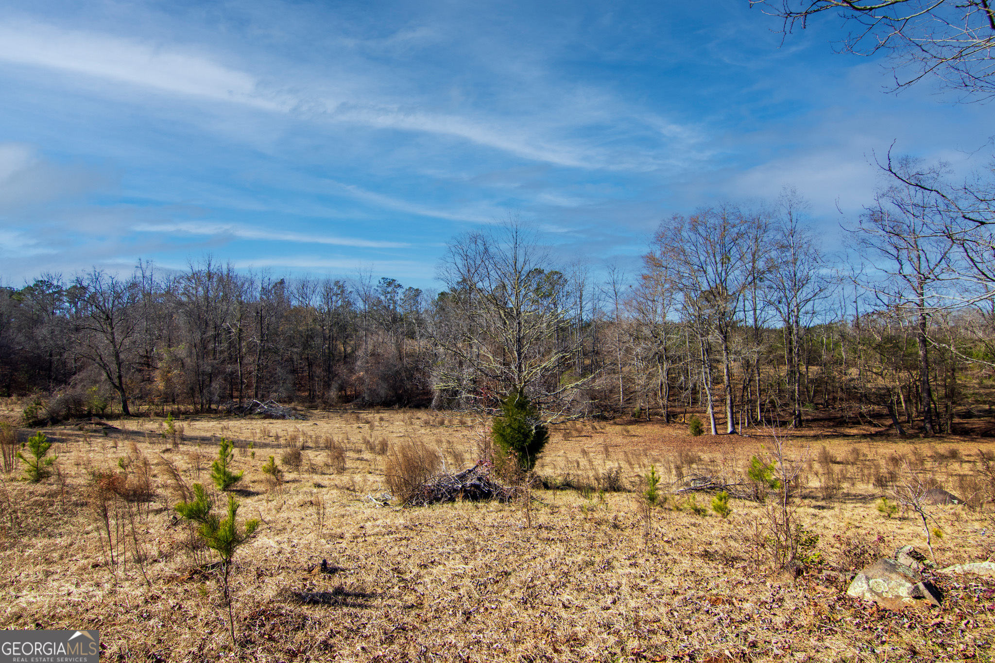 Tract 2 - 0 St. Paul Church Road Shiloh GA 31826