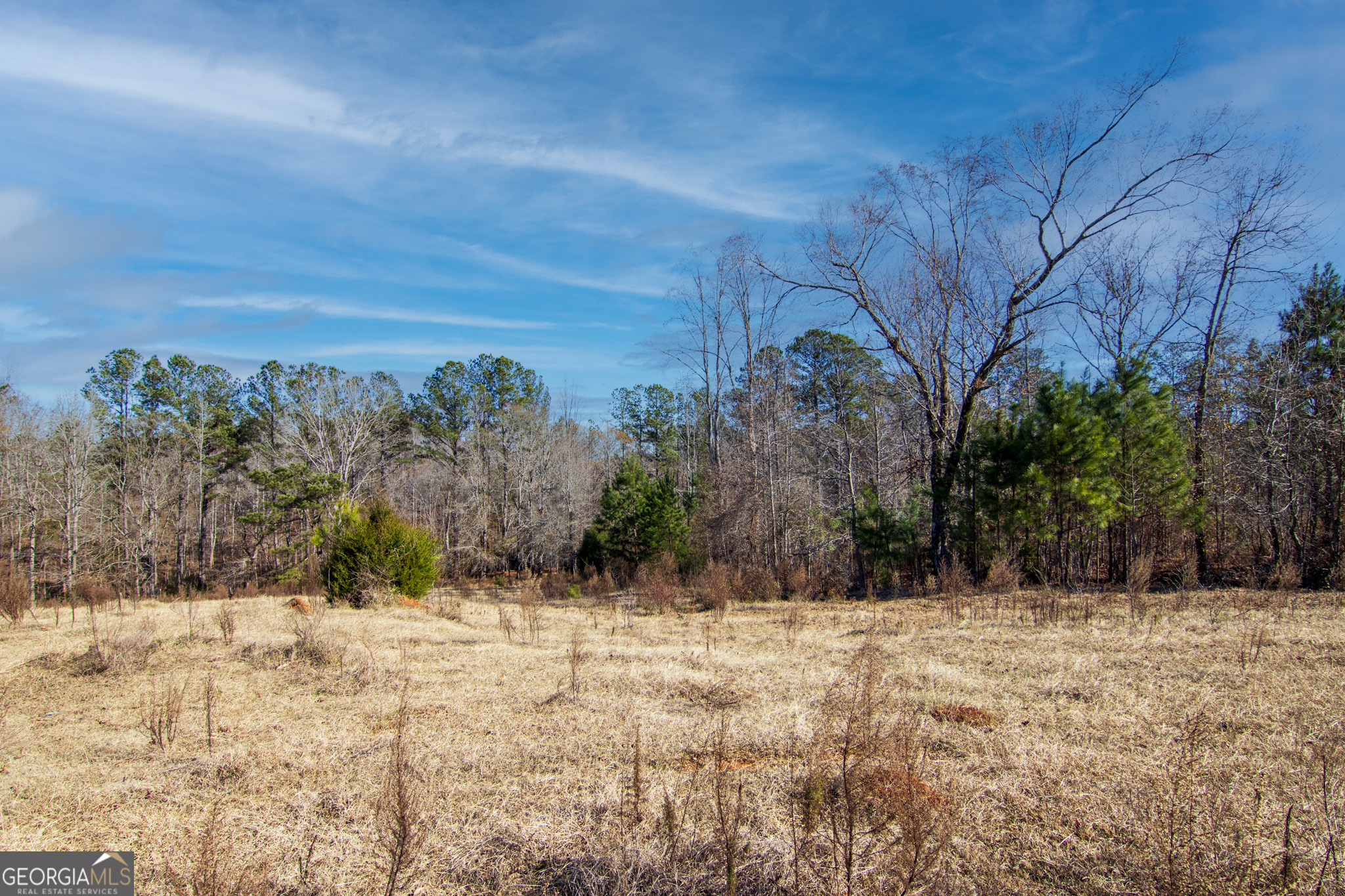 Tract 2 - 0 St. Paul Church Road Shiloh GA 31826