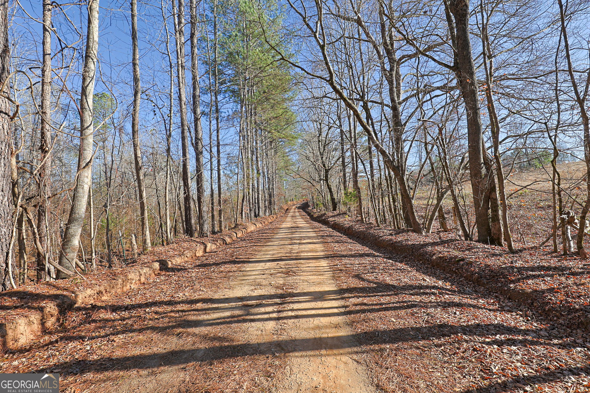 Tract 2 - 0 St. Paul Church Road Shiloh GA 31826