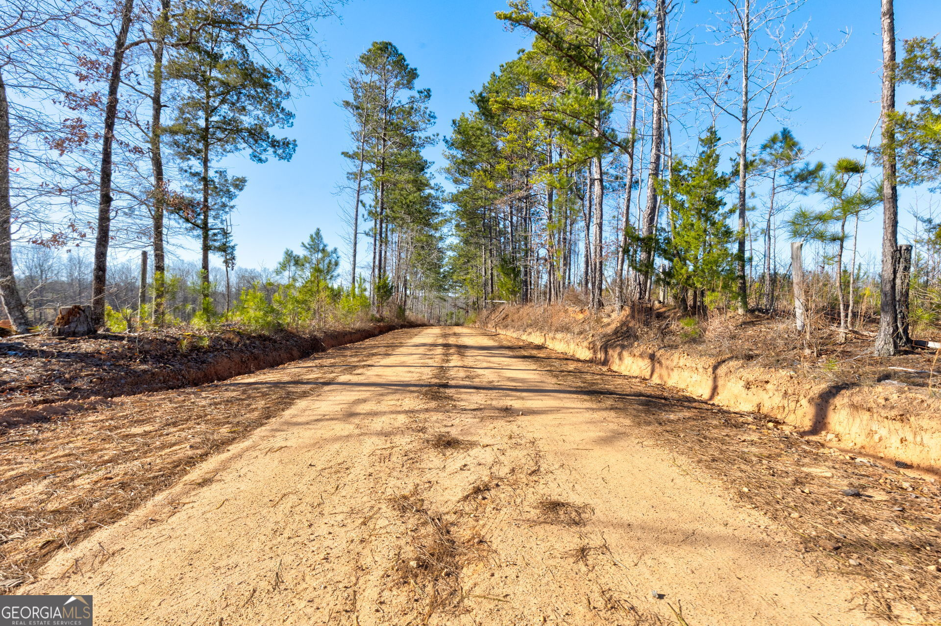 Tract 2 - 0 St. Paul Church Road Shiloh GA 31826