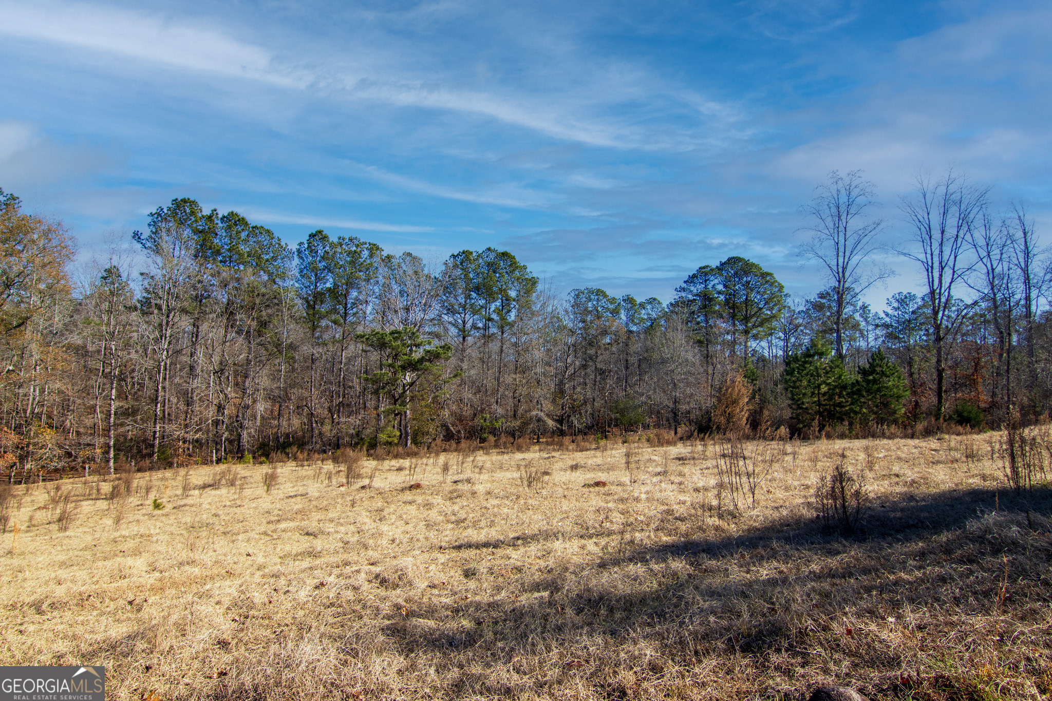 Tract 2 - 0 St. Paul Church Road Shiloh GA 31826