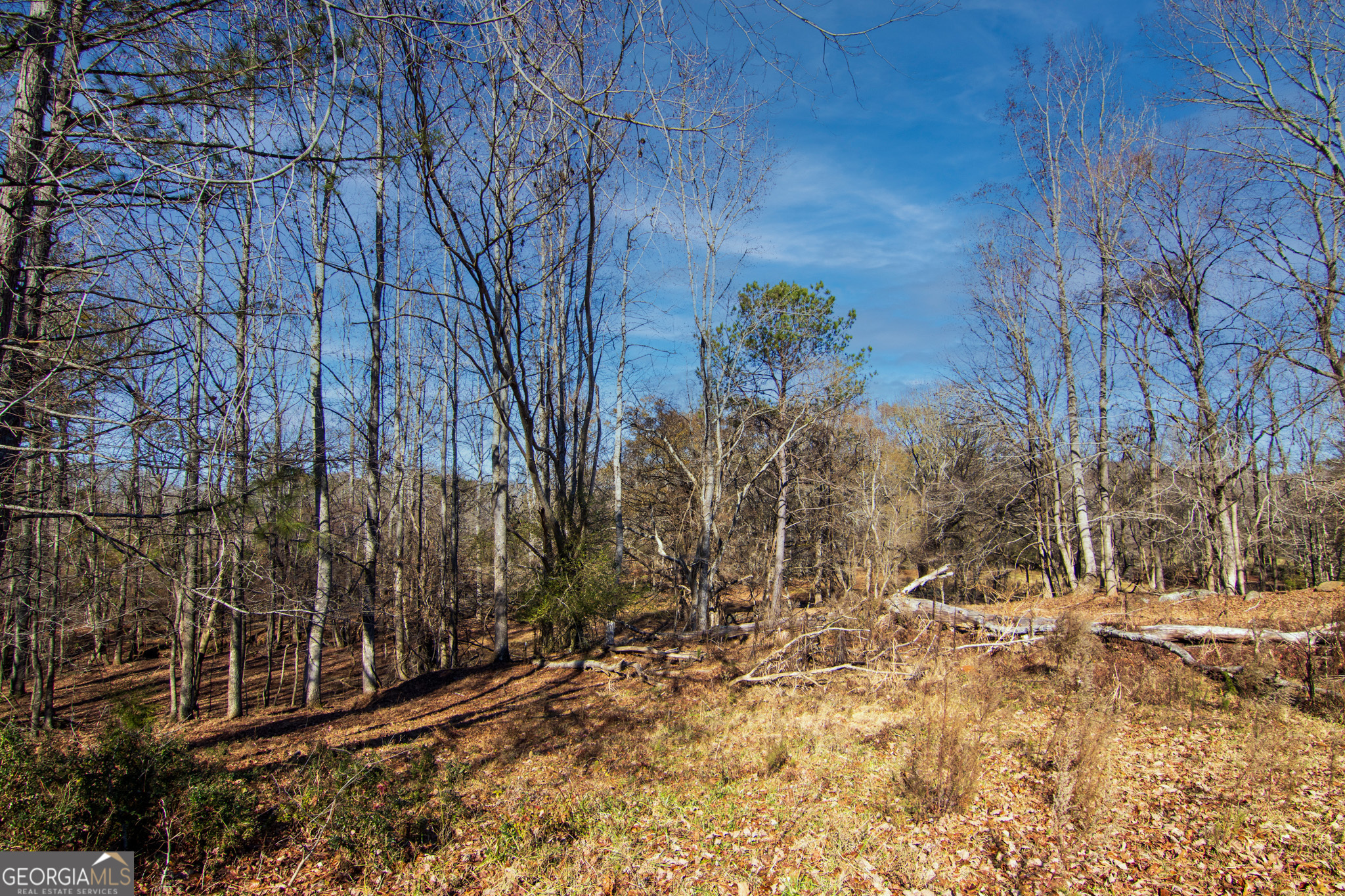 Tract 2 - 0 St. Paul Church Road Shiloh GA 31826