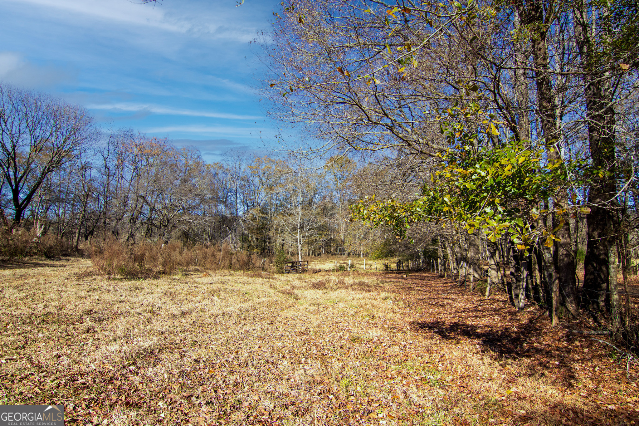 Tract 2 - 0 St. Paul Church Road Shiloh GA 31826