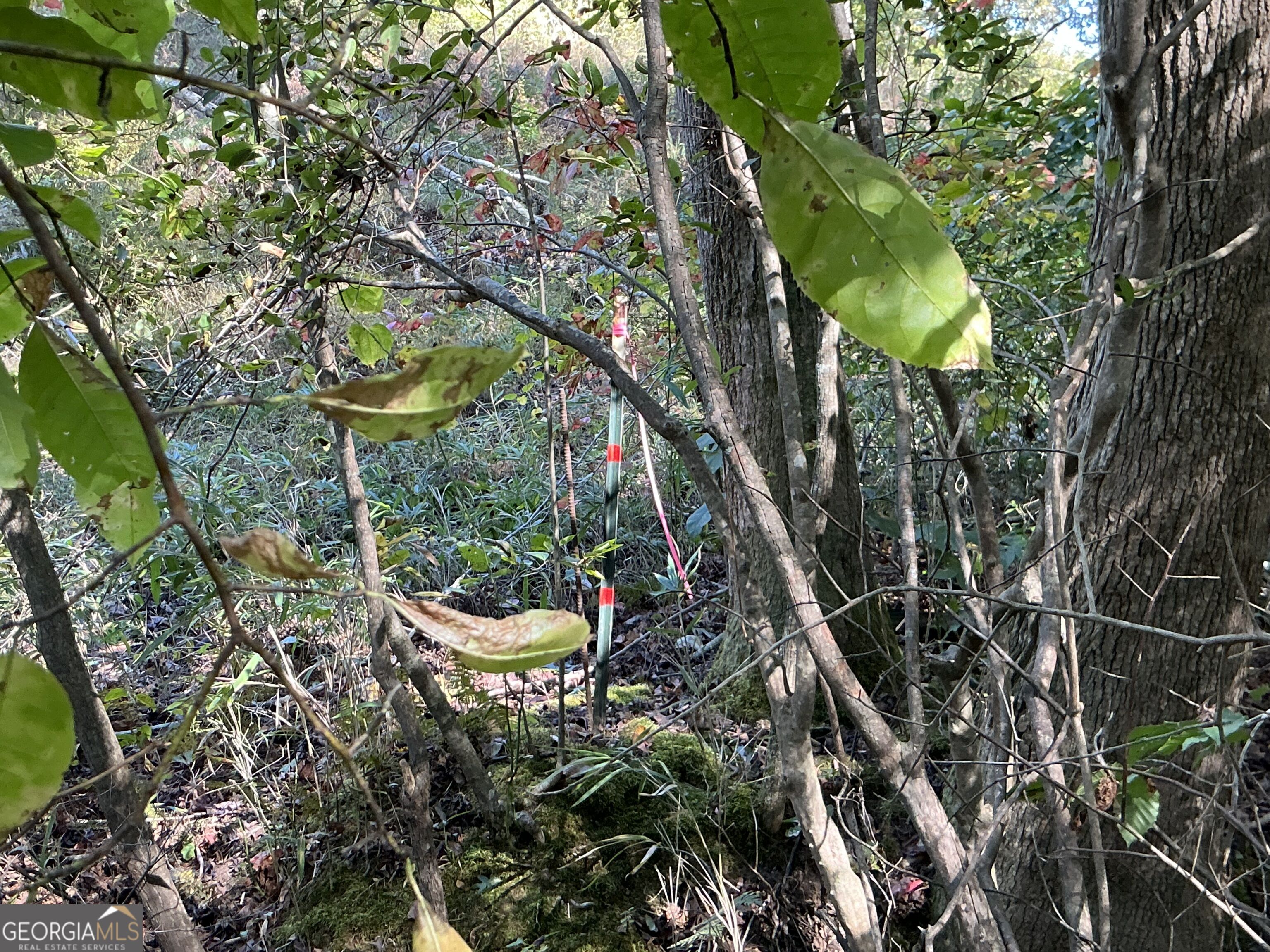 168 Faulkner Road Waco GA 30182