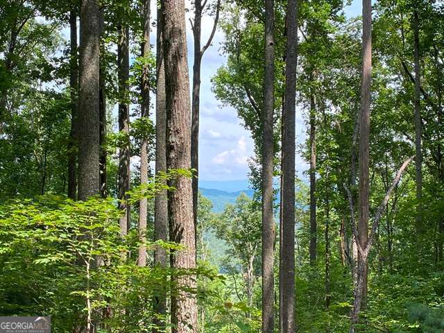Lot 1 High Country Lane Morganton GA 30560